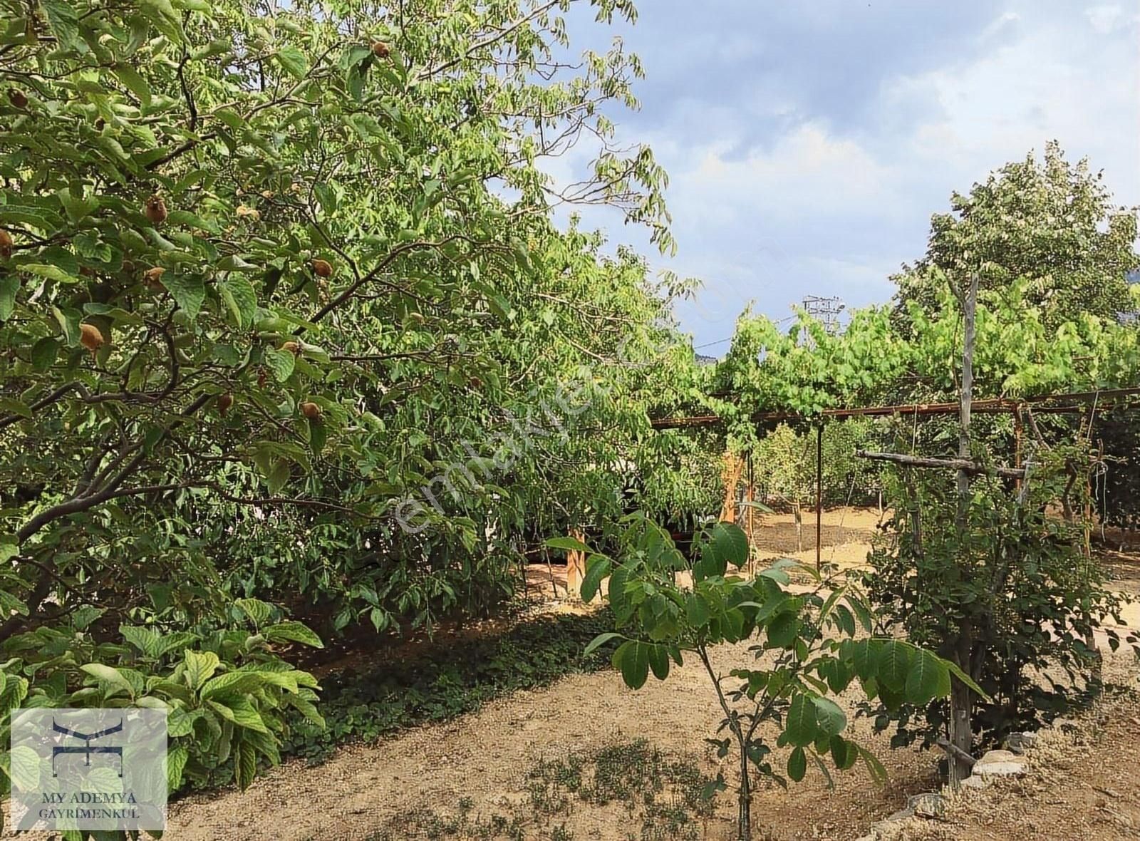Pozantı Kamışlı Arsası Geniş, 2 Katlı Eşyalı Yayla Evi Son Fiyat - Görsel 8