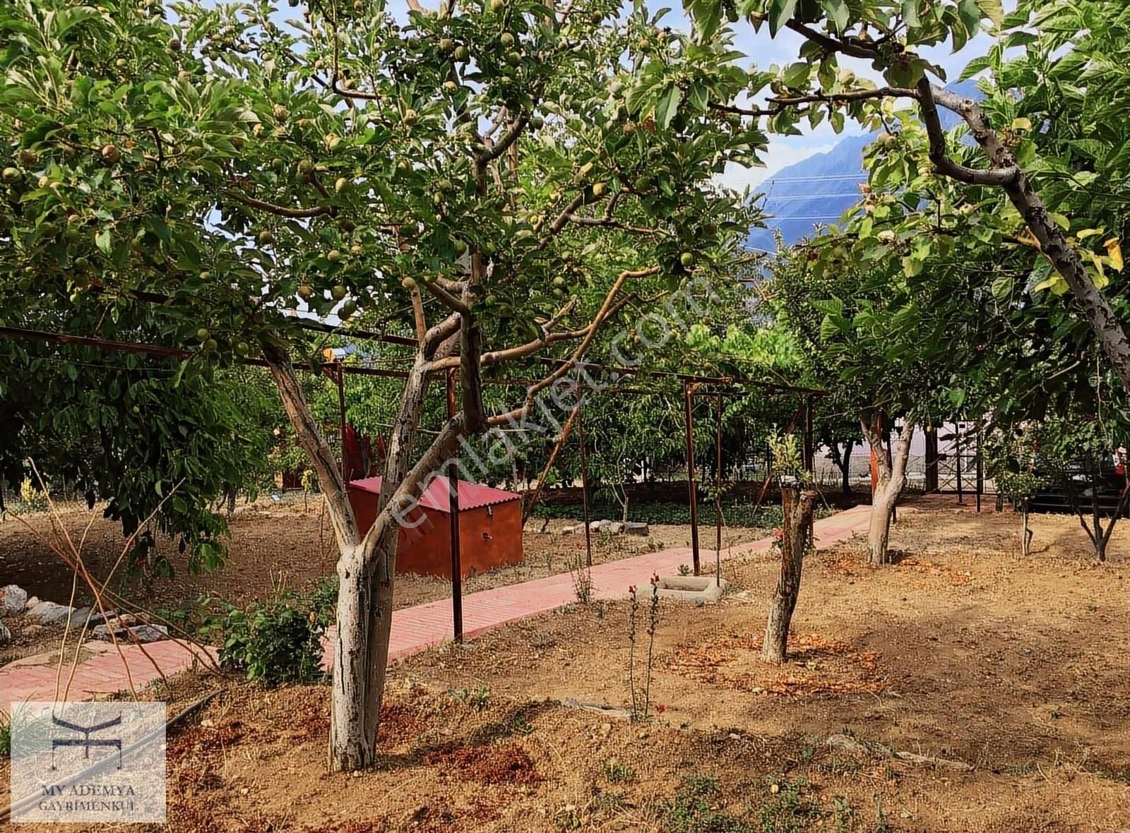 Pozantı Kamışlı Arsası Geniş, 2 Katlı Eşyalı Yayla Evi Son Fiyat - Görsel 5