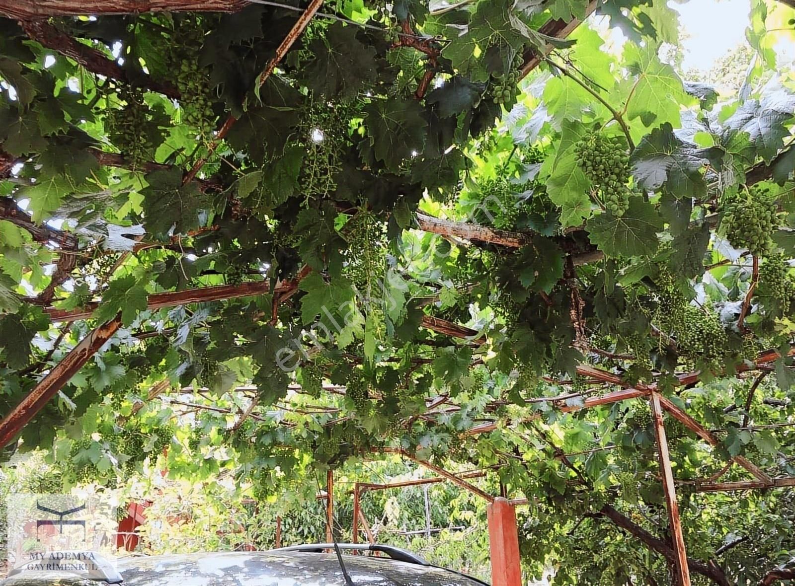 Pozantı Kamışlı Arsası Geniş, 2 Katlı Eşyalı Yayla Evi Son Fiyat - Görsel 7