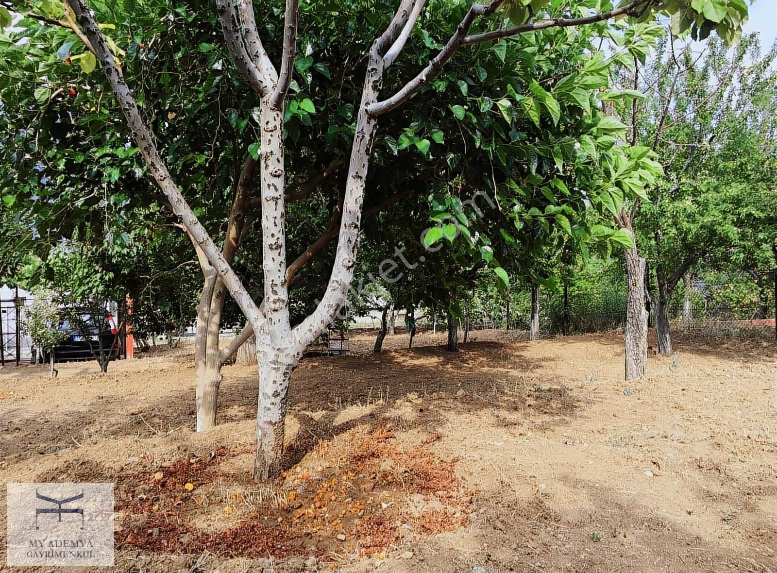 Pozantı Kamışlı Arsası Geniş, 2 Katlı Eşyalı Yayla Evi Son Fiyat - Görsel 4