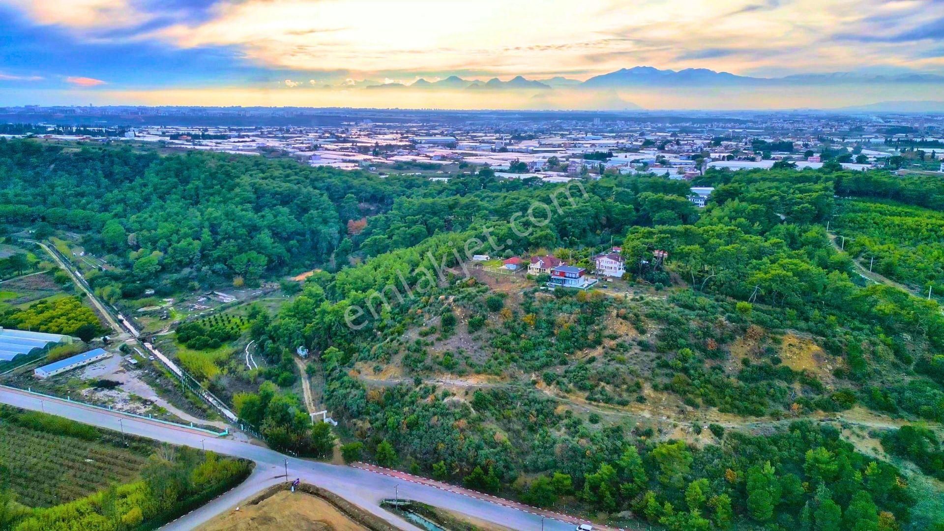 Hacıaliler'de Muhteşem Deniz Manzaralı 3,7 Dönüm Arazi
