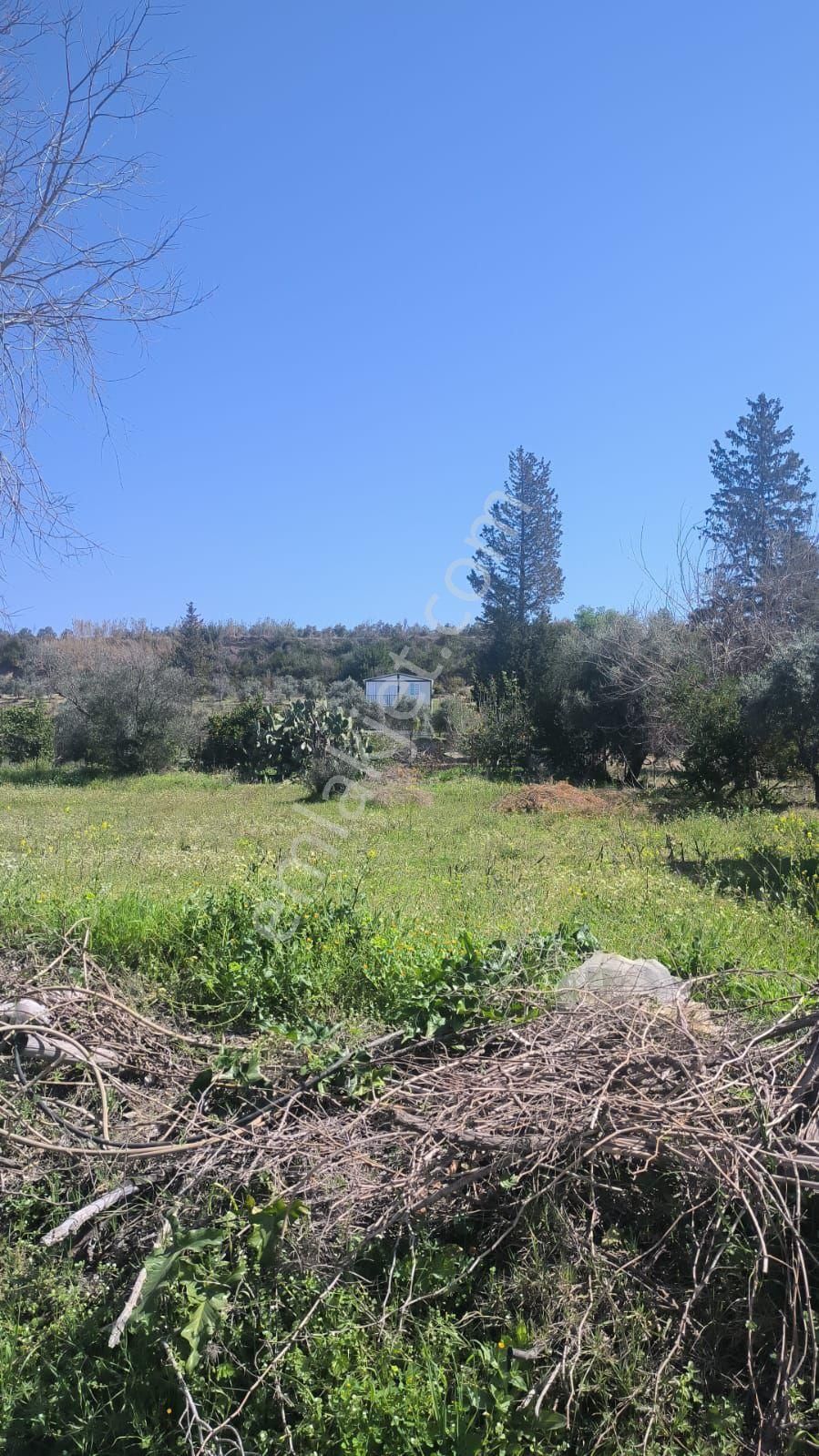 Manavgat'ta Şişelerde 956 Metrekare Satılık İmarlı Arsa