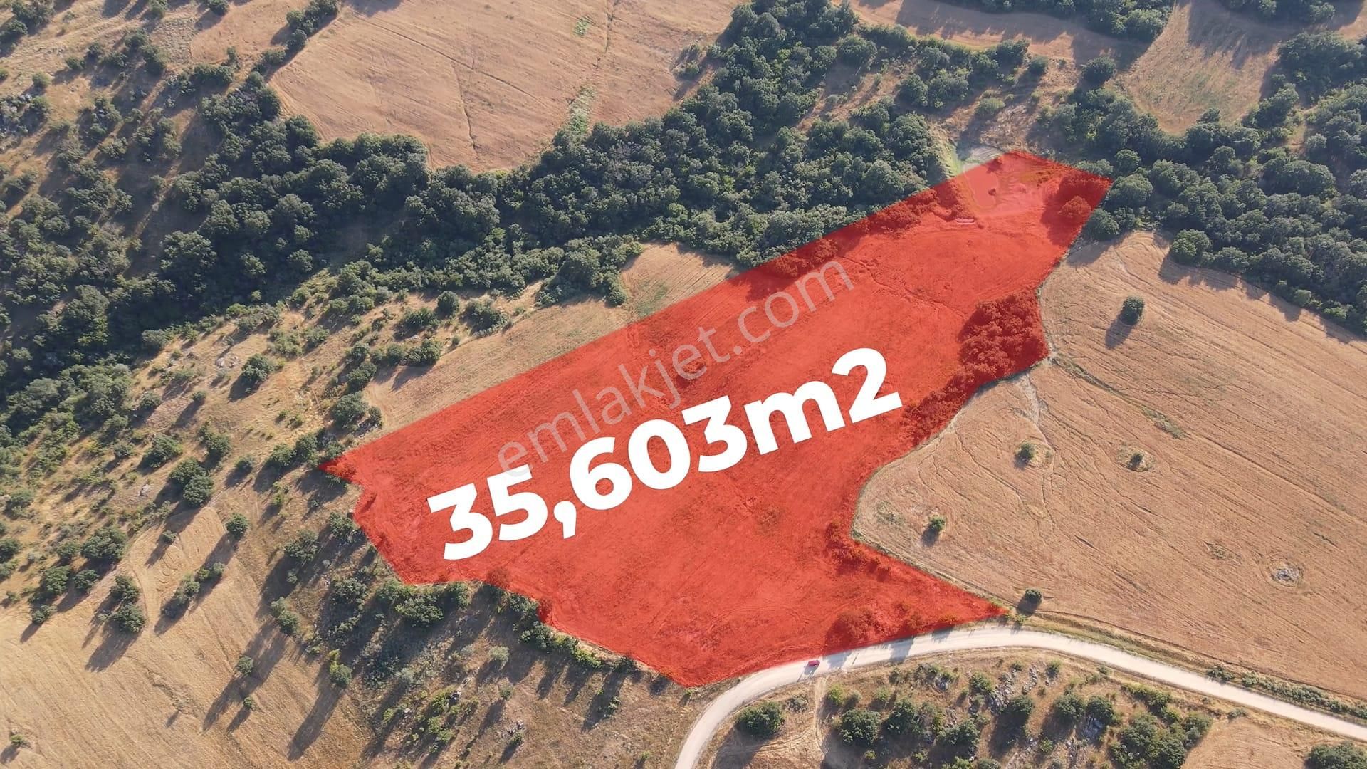Turyap' Tan Kırklareli Merkez Çeşmeköy'de 35,6 Dönüm Müstakil Satılık Tarla