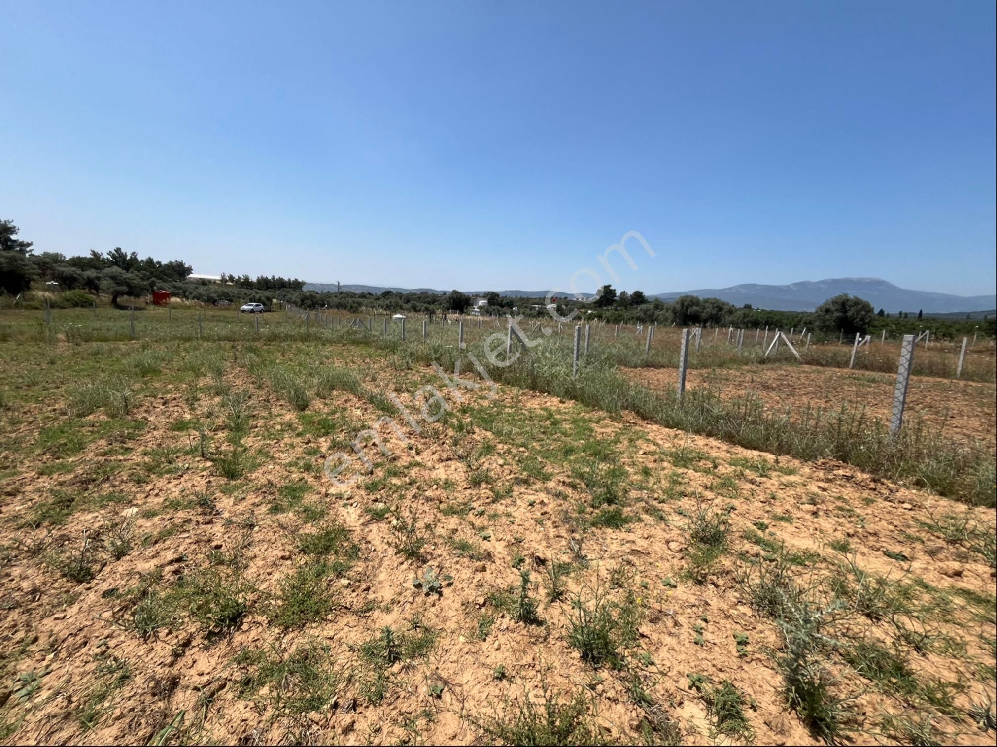 Torbalı Ormanköy Mah Aile Mirastan Bölünme 900m2 Zeytinli Tarla - Görsel 31