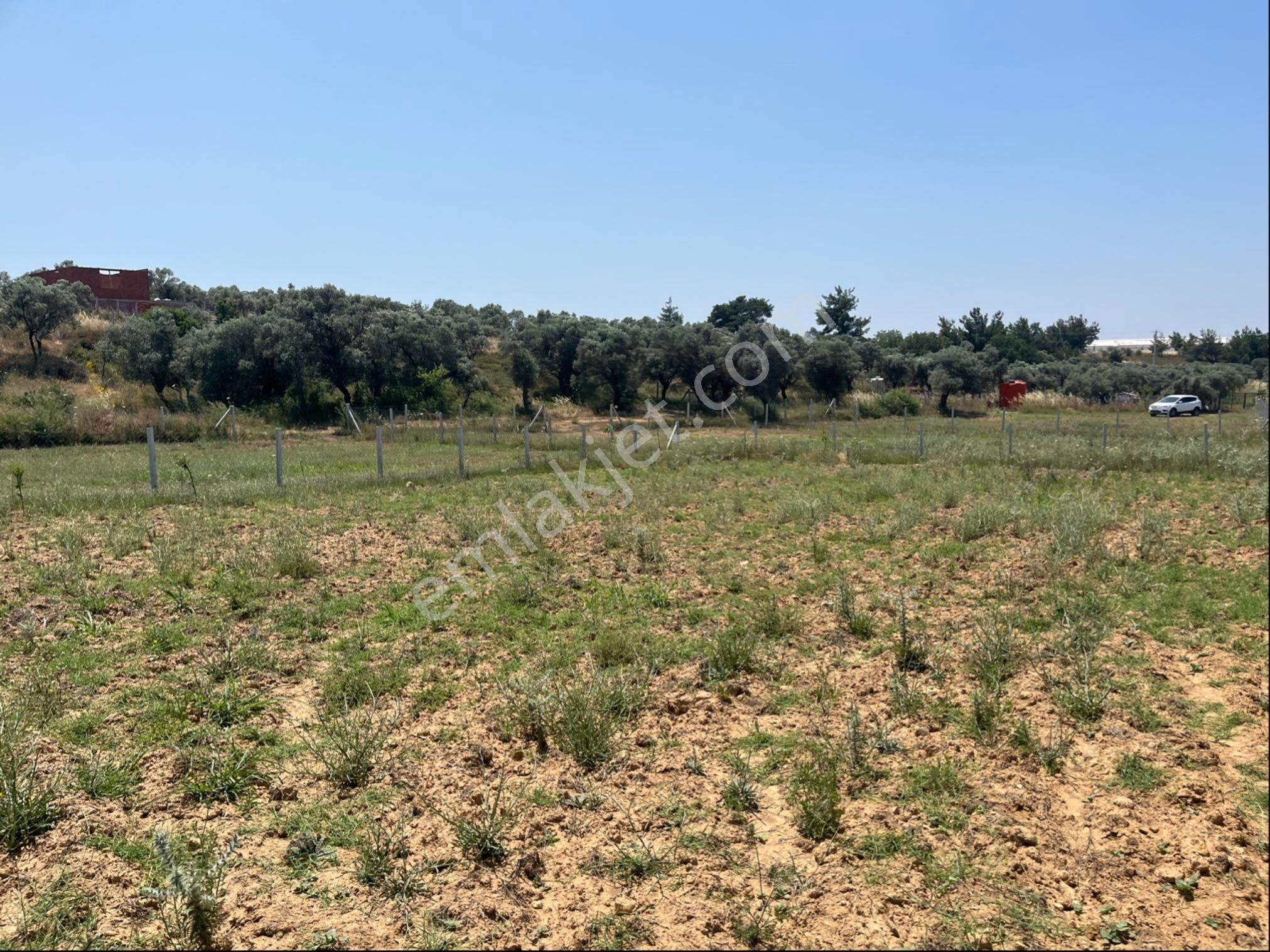 Torbalı Ormanköy Mah Aile Mirastan Bölünme 900m2 Zeytinli Tarla - Görsel 24