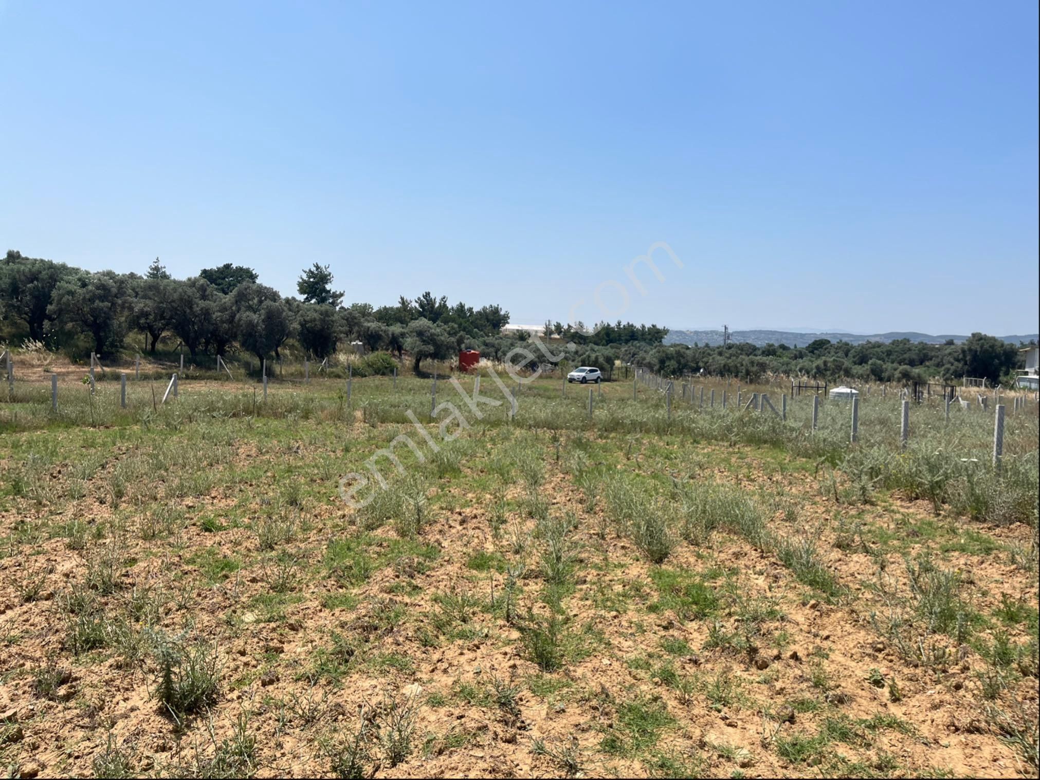 Torbalı Ormanköy Mah Aile Mirastan Bölünme 900m2 Zeytinli Tarla - Görsel 33