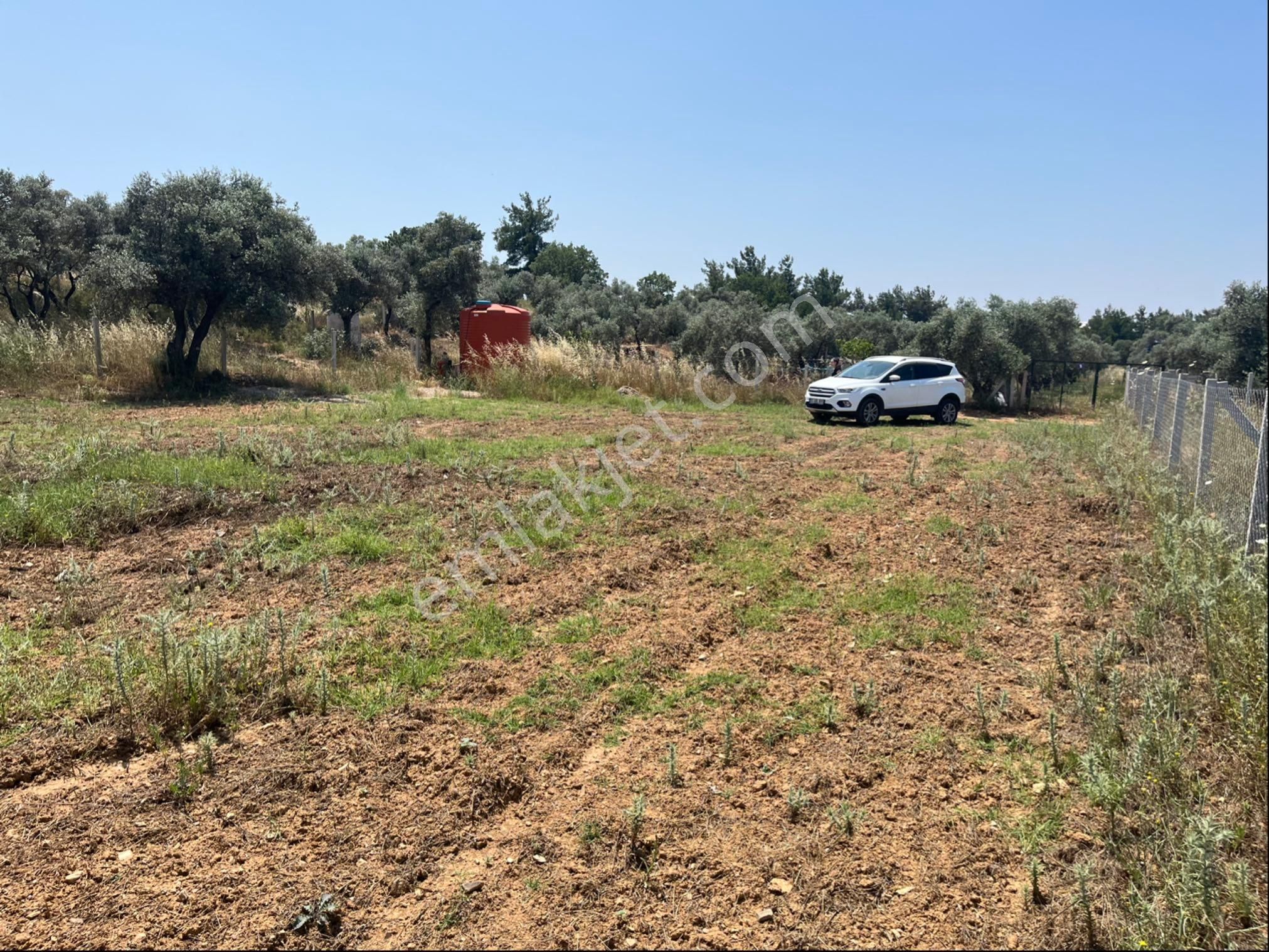 Torbalı Ormanköy Mah Aile Mirastan Bölünme 900m2 Zeytinli Tarla - Görsel 4