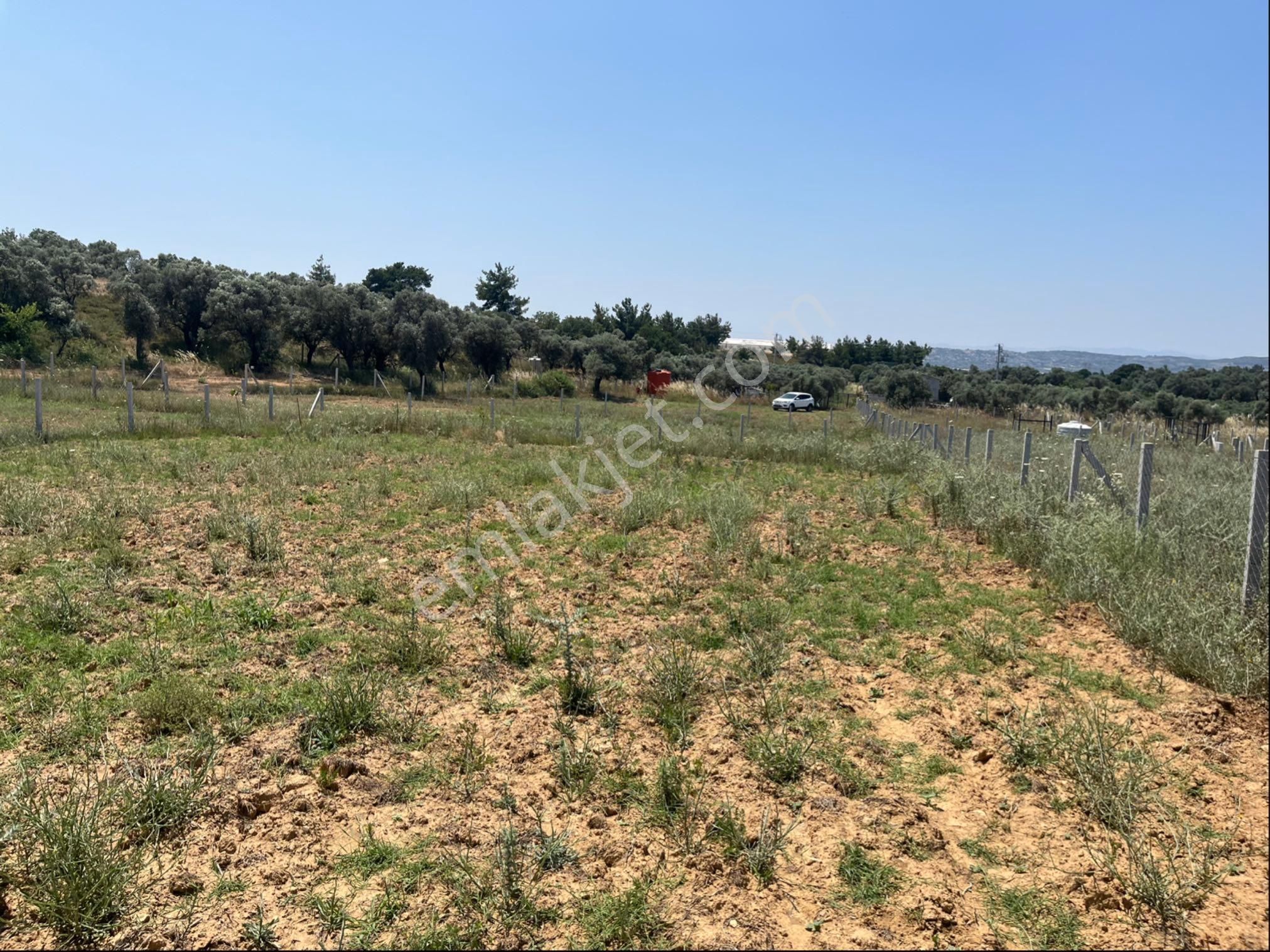 Torbalı Ormanköy Mah Aile Mirastan Bölünme 900m2 Zeytinli Tarla - Görsel 34