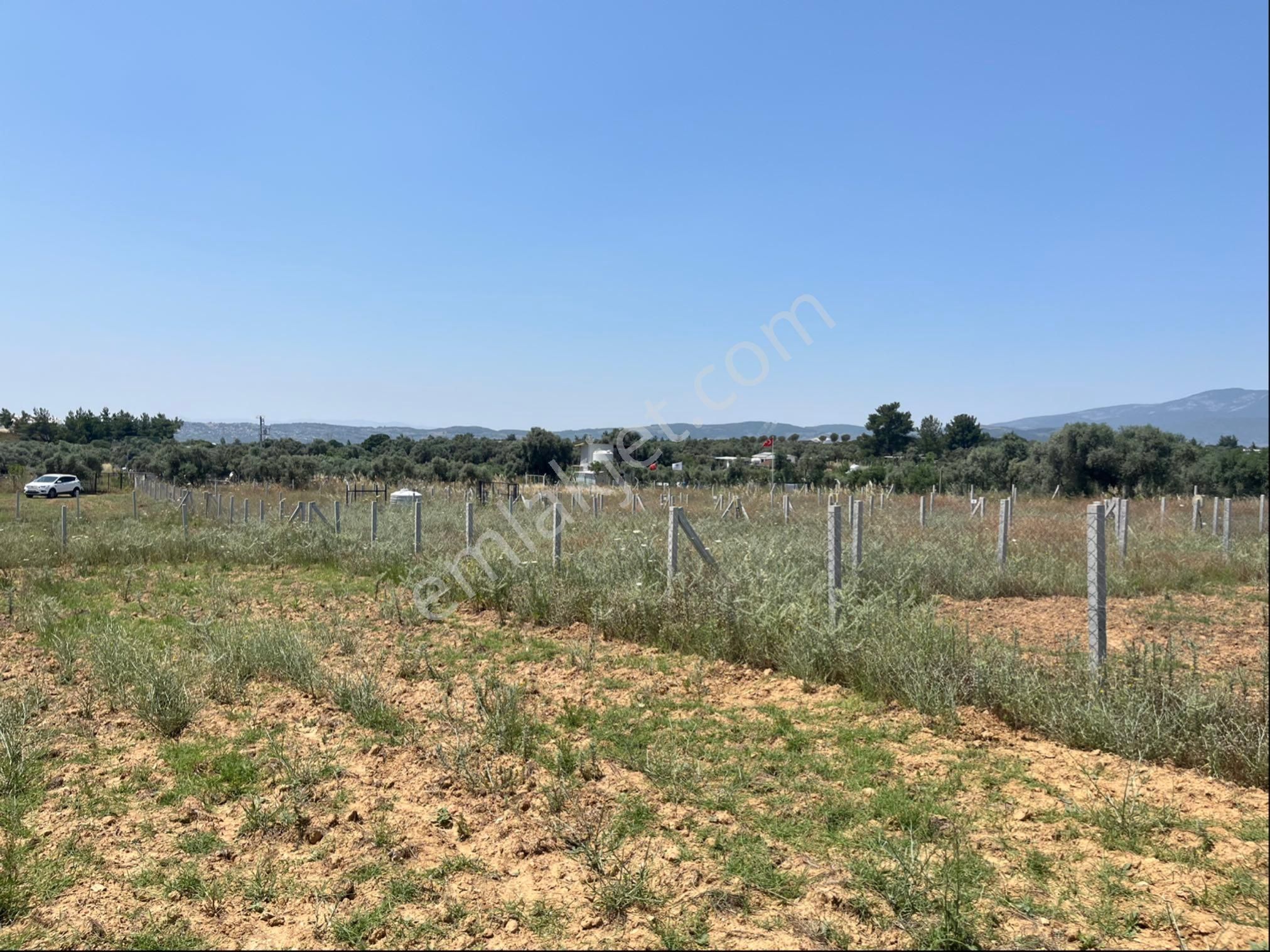 Torbalı Ormanköy Mah Aile Mirastan Bölünme 900m2 Zeytinli Tarla - Görsel 28
