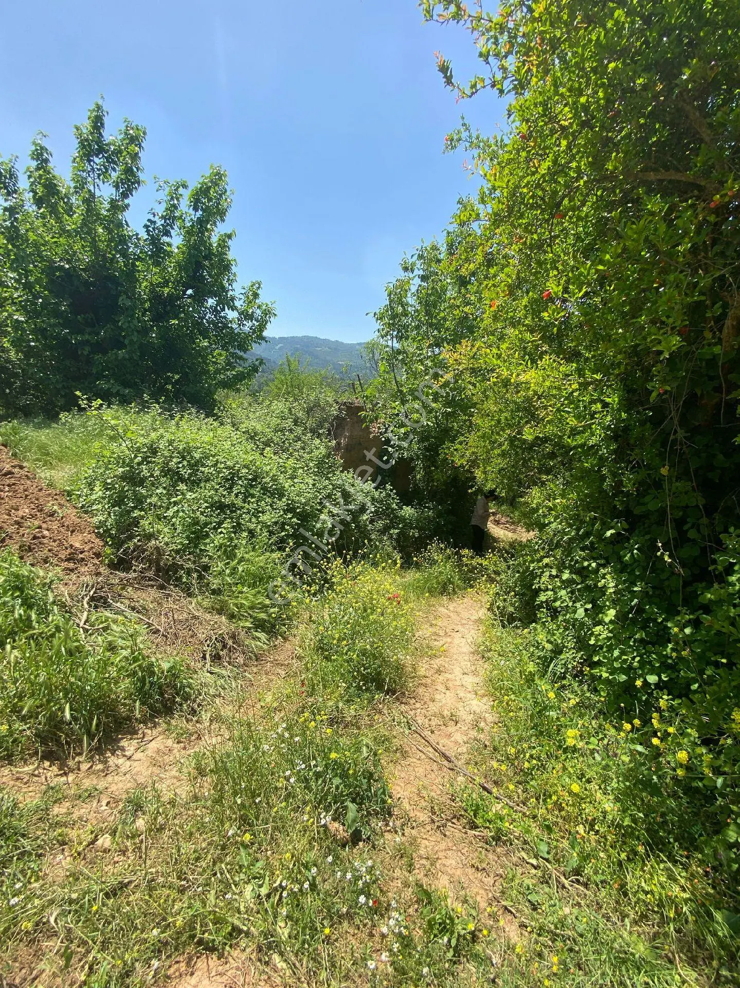 Manisa Ahmetli Dereköy Mah.521m² Arsa Satılık - Görsel 2