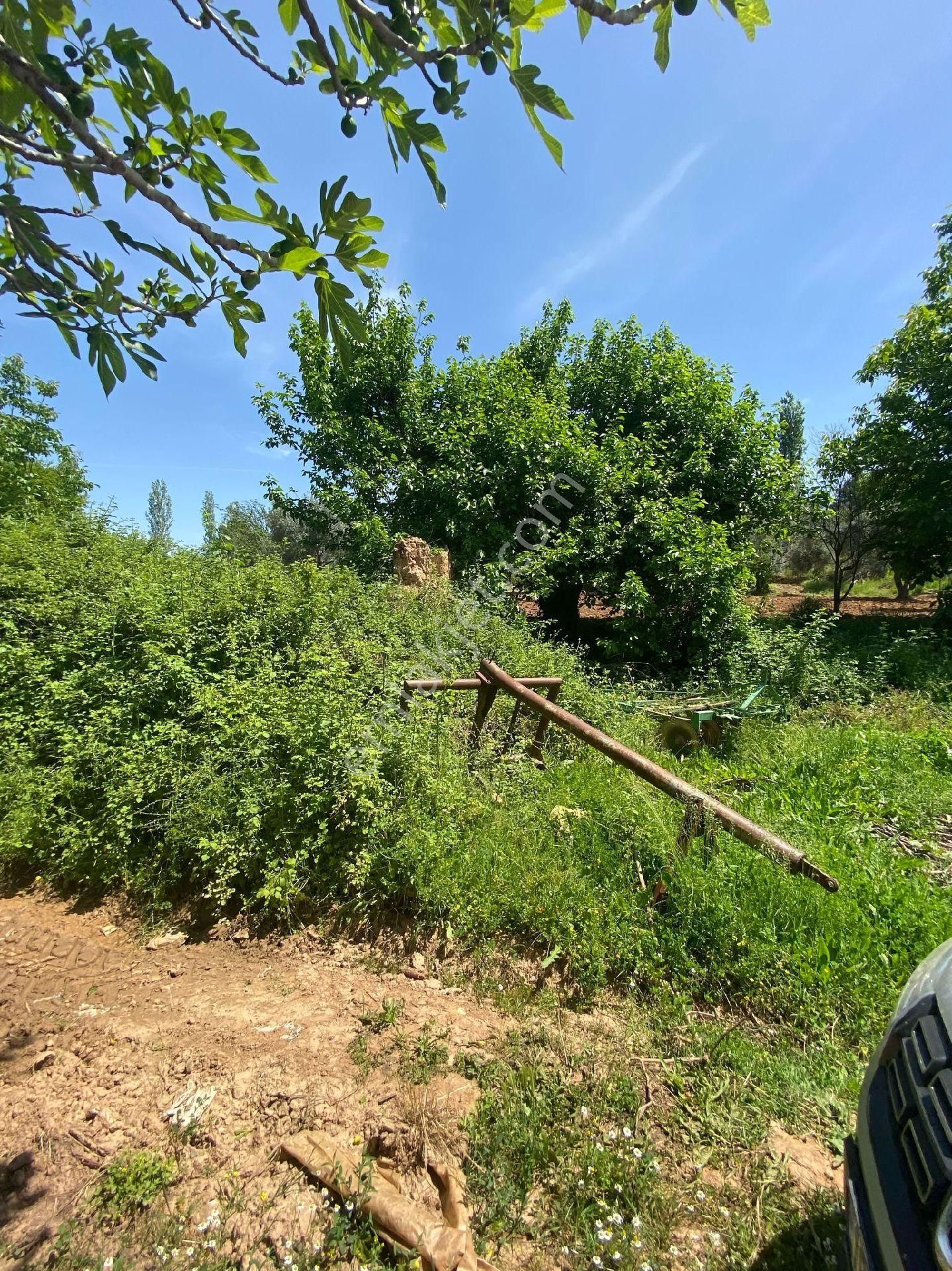 Manisa Ahmetli Dereköy Mah.521m² Arsa Satılık