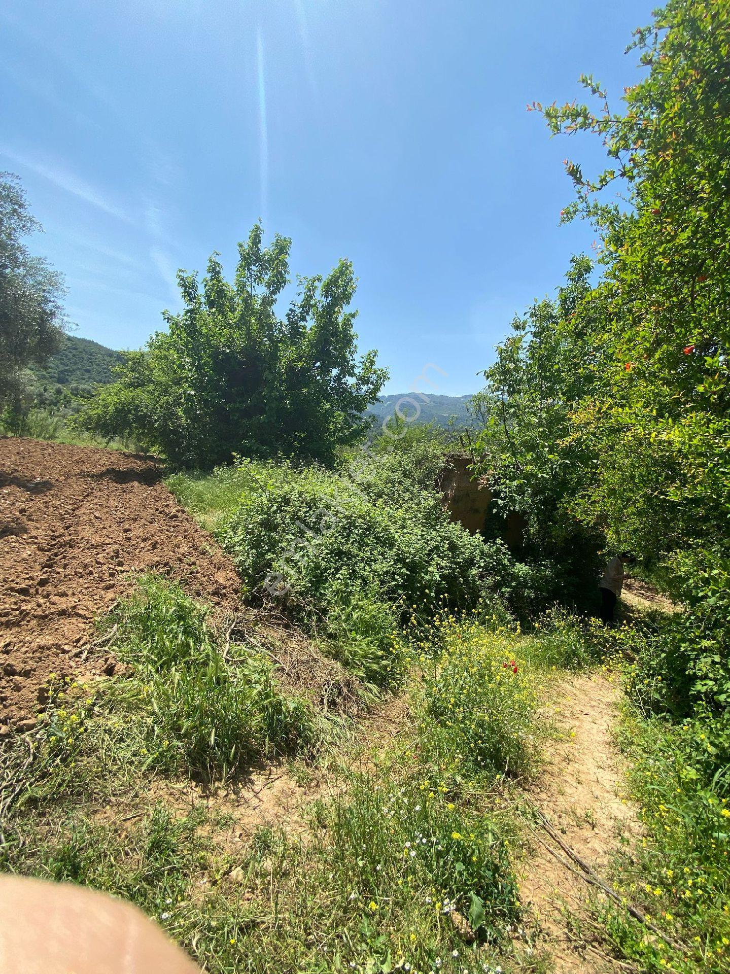 Manisa Ahmetli Dereköy Mah.521m² Arsa Satılık - Görsel 4