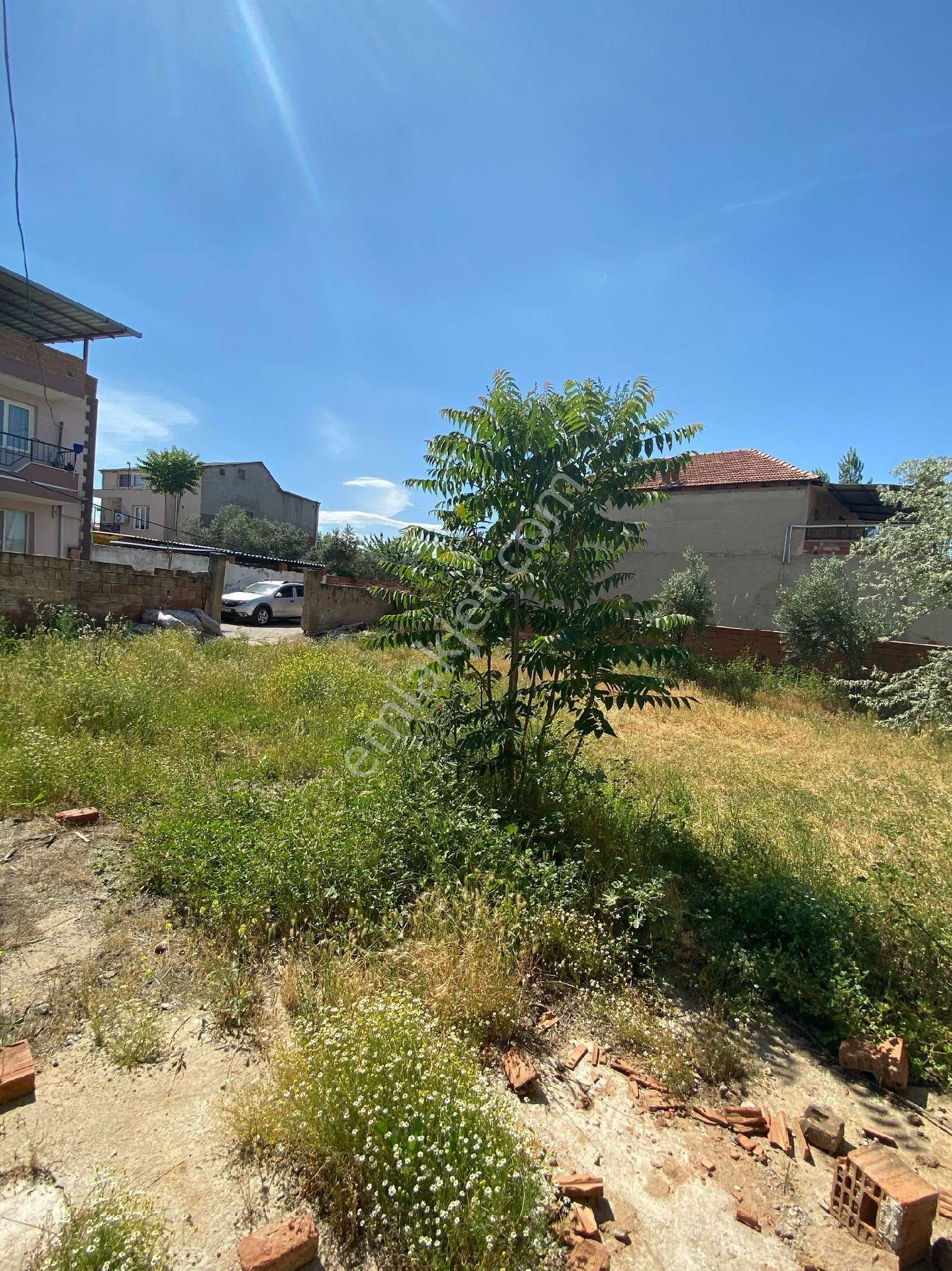 Manisa Ahmetli Kurtuluş Mahalesinde 270m² Arsa Satılık