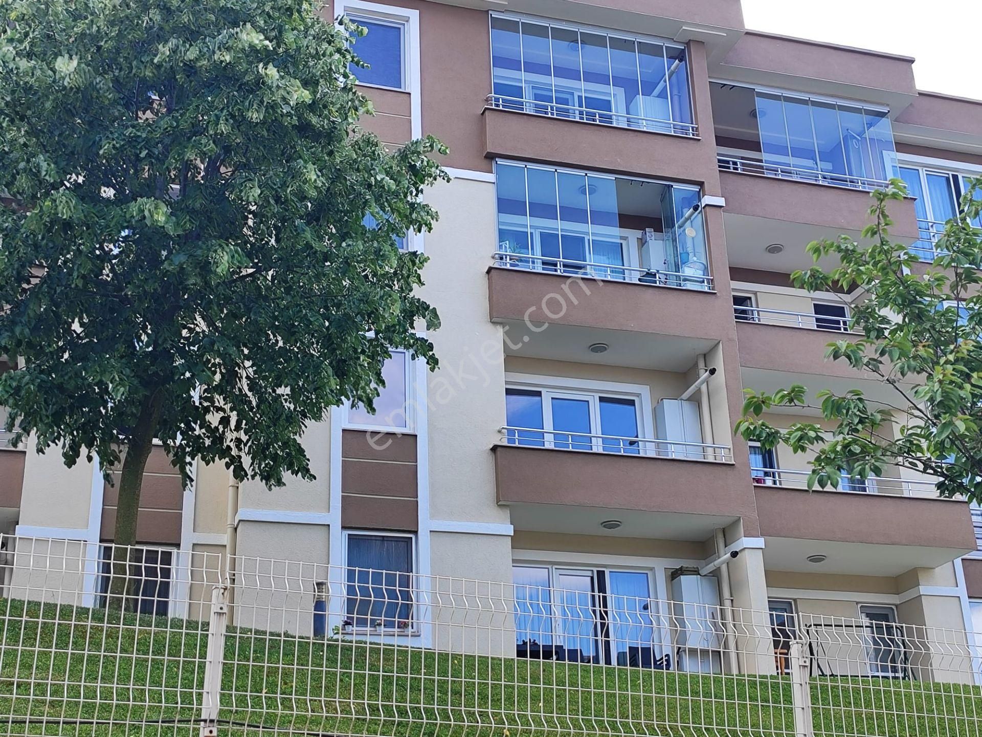 Remax Palastan Evimiz Kocaeli Sitesi Arakat 2+1 Amerikan Mutfak