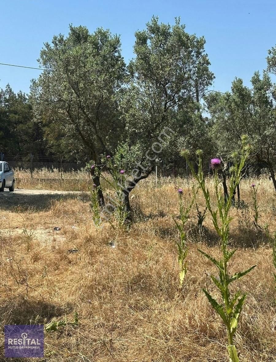 Rs Mutlu'dan Yolçatıda İmar Dibi Satılık 138 Metre Hisseli Tarla - Görsel 7