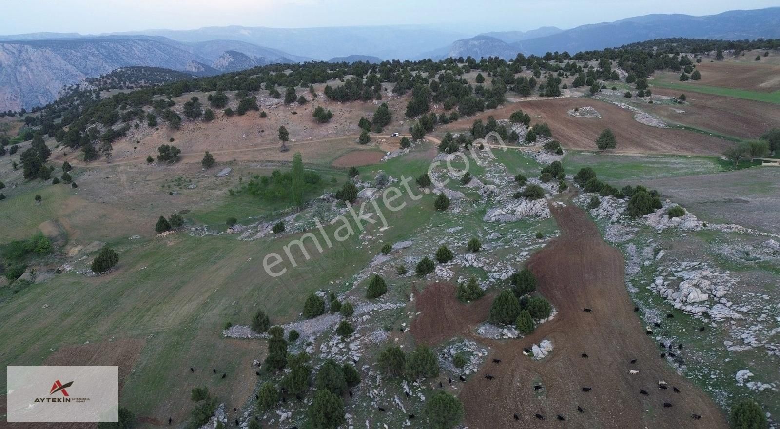 Karaman Merkez / Yukarı Kızılca Mah / 2732 M² Tarla