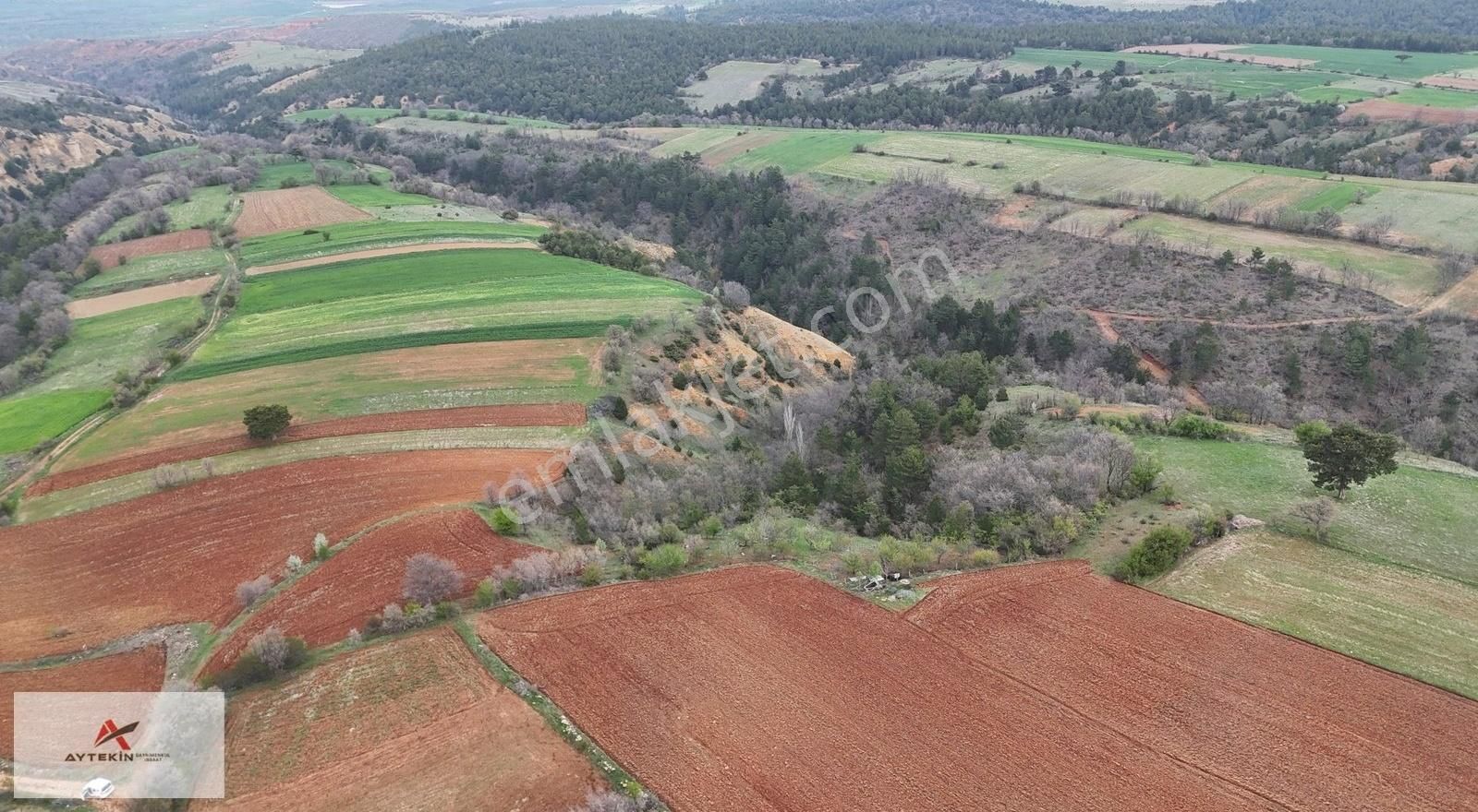 Kemer Mah.de 1047 M² Yatırımlık Tarla / Doğanhisar / Konya