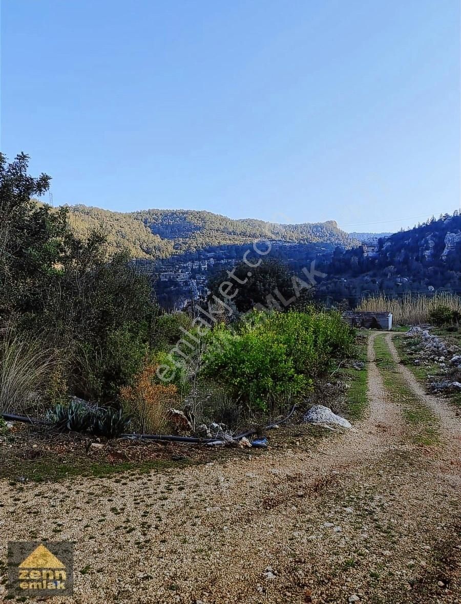 Mersin De Satılık 1200m2 Limon Bahcesi 1.400.000tl