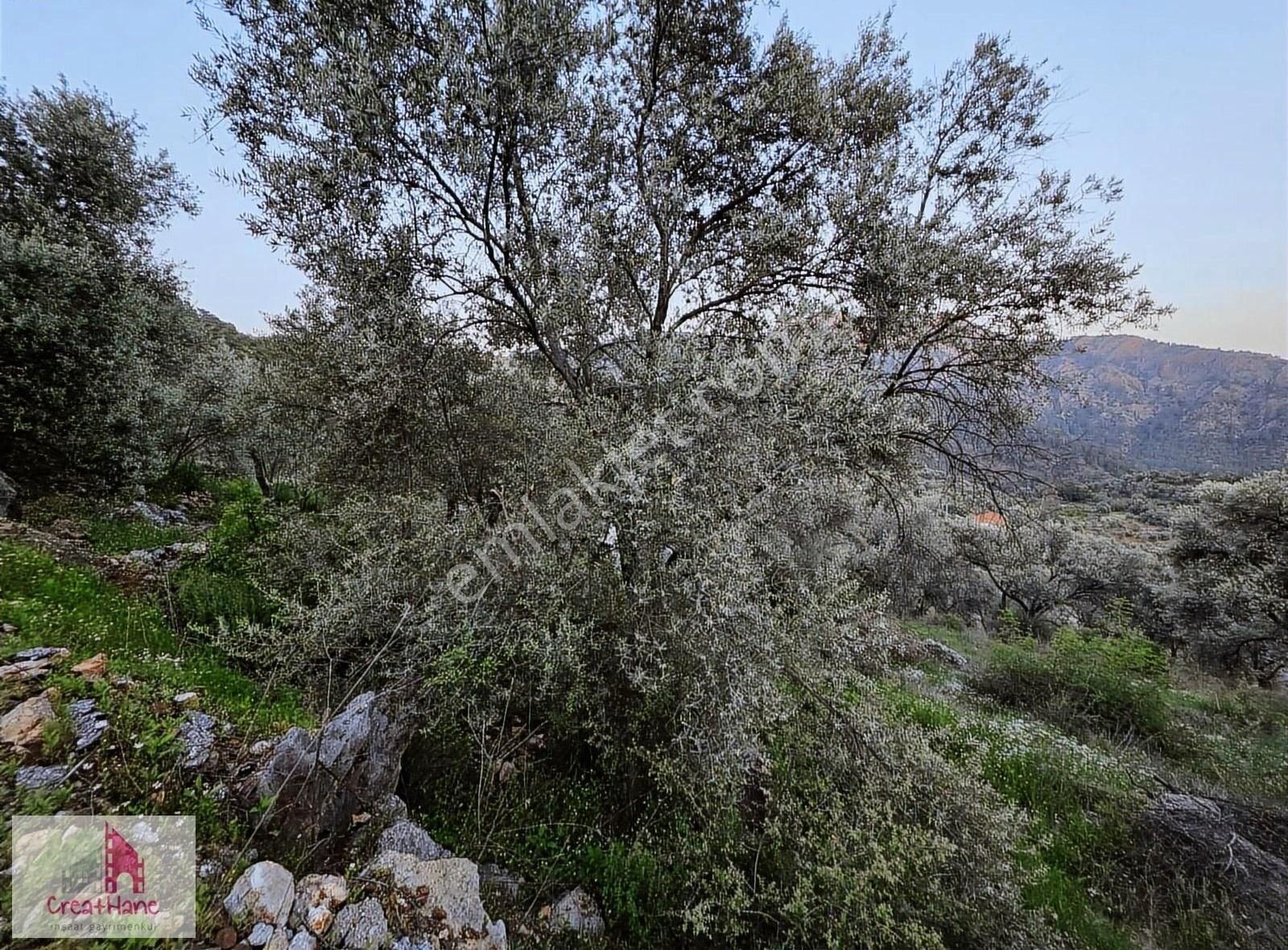 Fethiye Gökçeovacık'ta Deniz Manzaralı İmarlı Arsa - Görsel 3