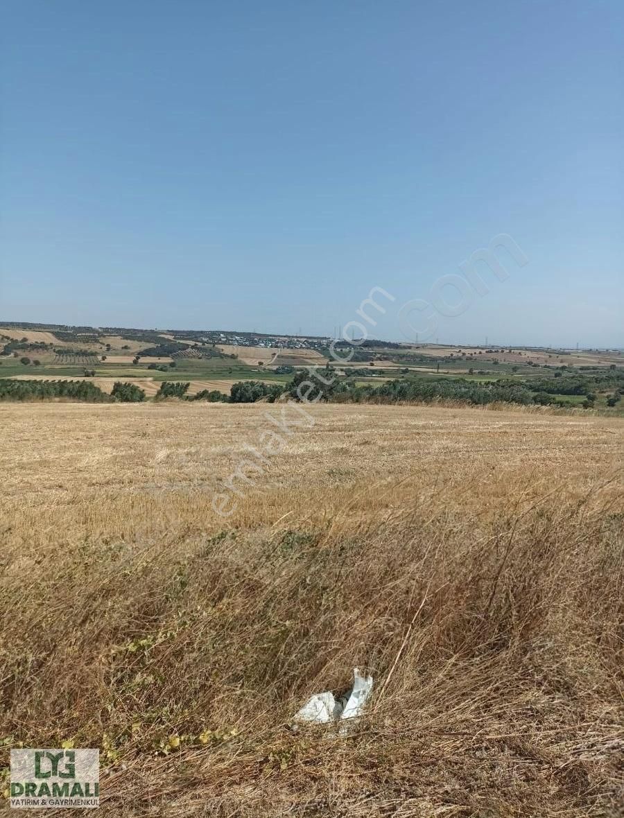 Bandırma Yeniyenice 478 M2 Köye Ve Asvalta Yakın Harika Tarla