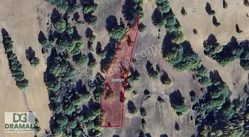 Kütahya Emet Çerte Yıldırımda 2173m² Müstakil Tapu Satılık Tarla