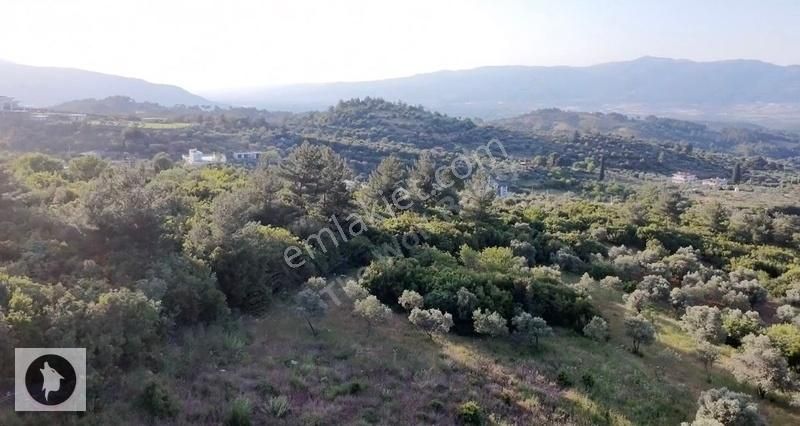 Wolf'dan Kemalpaşa Yukarıkızılca'da Yatırım Fırsatı