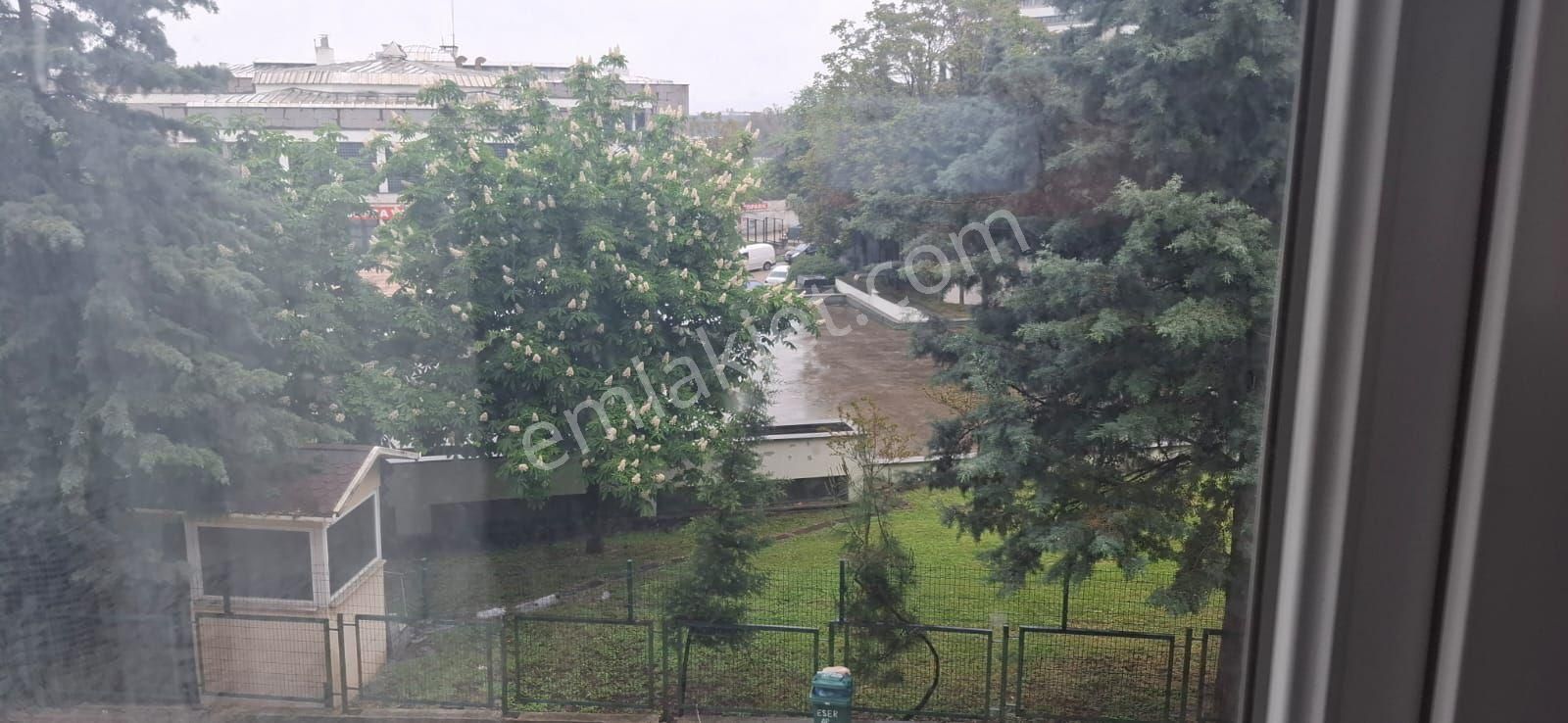 Osmangazi Kiralik Dayre 2+1 Giris Katii Yerler Parkekirasi10.000 (6)+