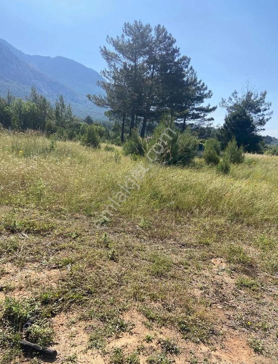 Muğla Yaraş Soda Mevkiinde Satılık Fırsat Arazi