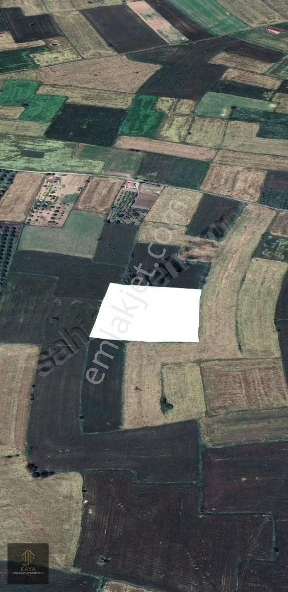 Kaya Gayrimenkul'den Bölme'de Yatırımlık Fırsat Tarla