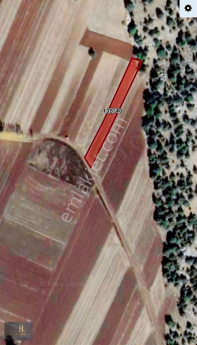 Emsallerinden Çok Çok Ucuza 1157m2 Tarla