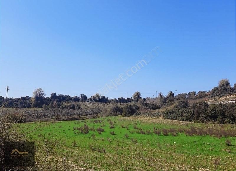 Manavgat Çolaklıda Doğa İçinde Kaçırılmaz Yatırım Fırsatı! - Görsel 9