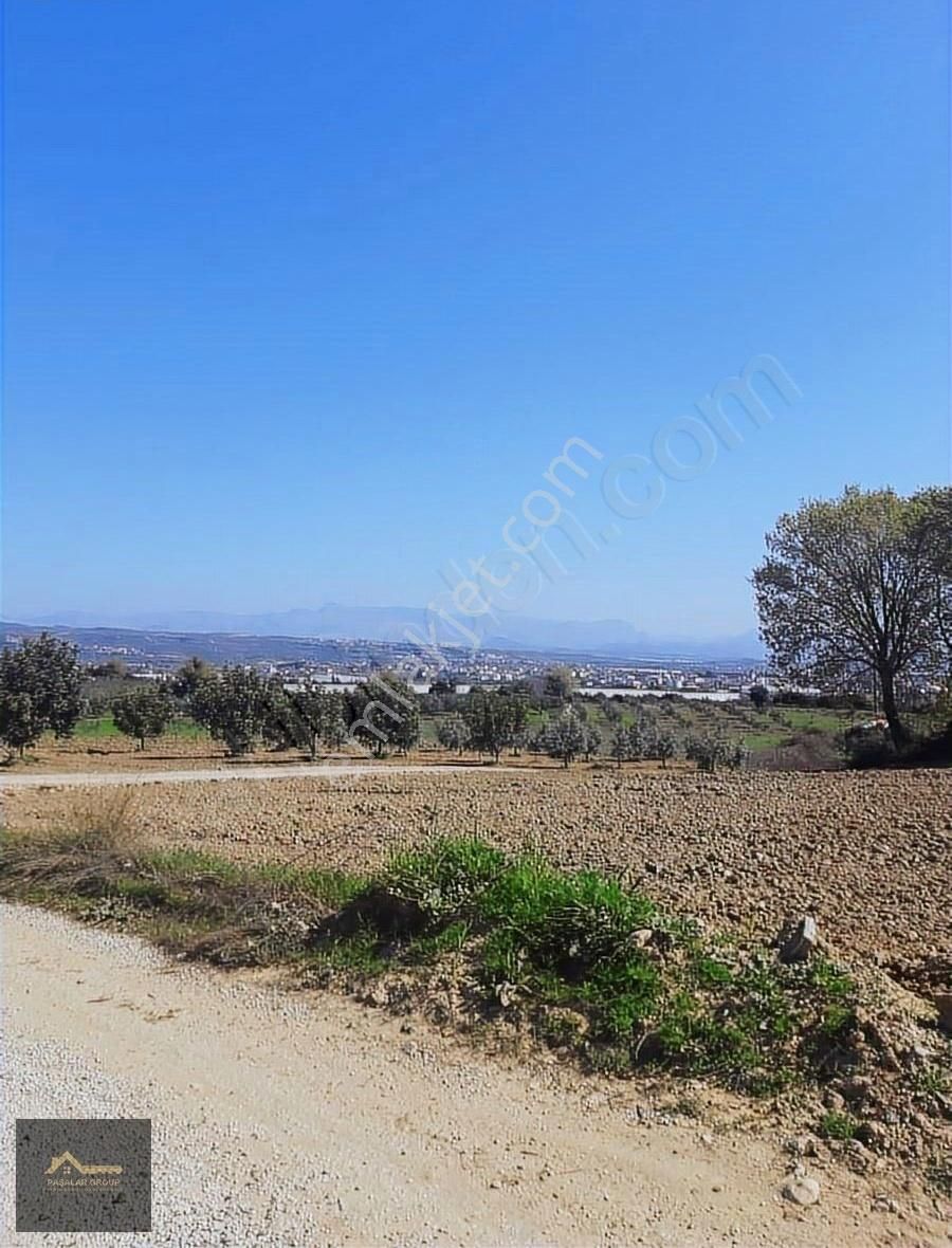 Manavgat Çolaklıda Doğa İçinde Kaçırılmaz Yatırım Fırsatı! - Görsel 3