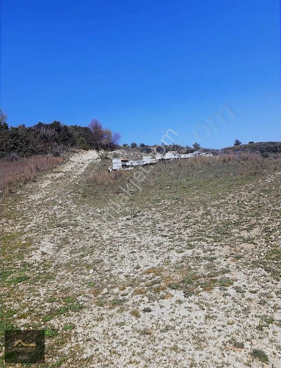 Manavgat Çolaklıda Doğa İçinde Kaçırılmaz Yatırım Fırsatı! - Görsel 10