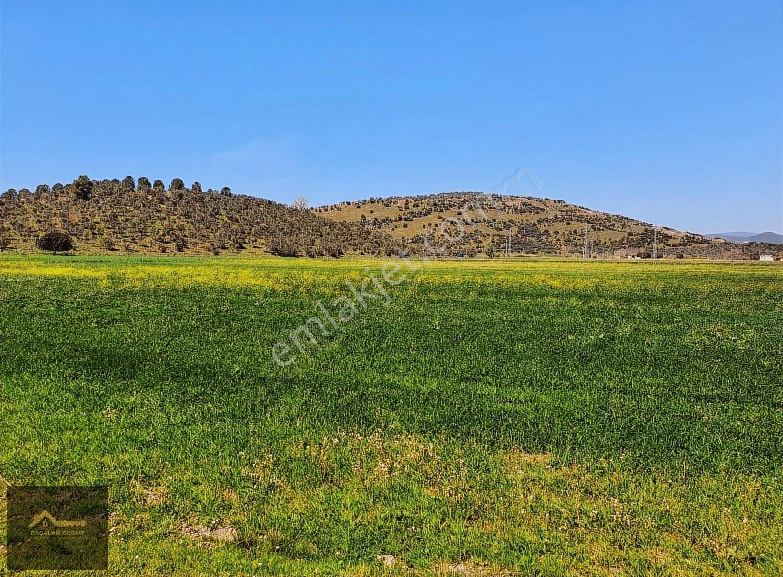 Milas Meşelikte 7.335 M² Yatırımlık Arazi!