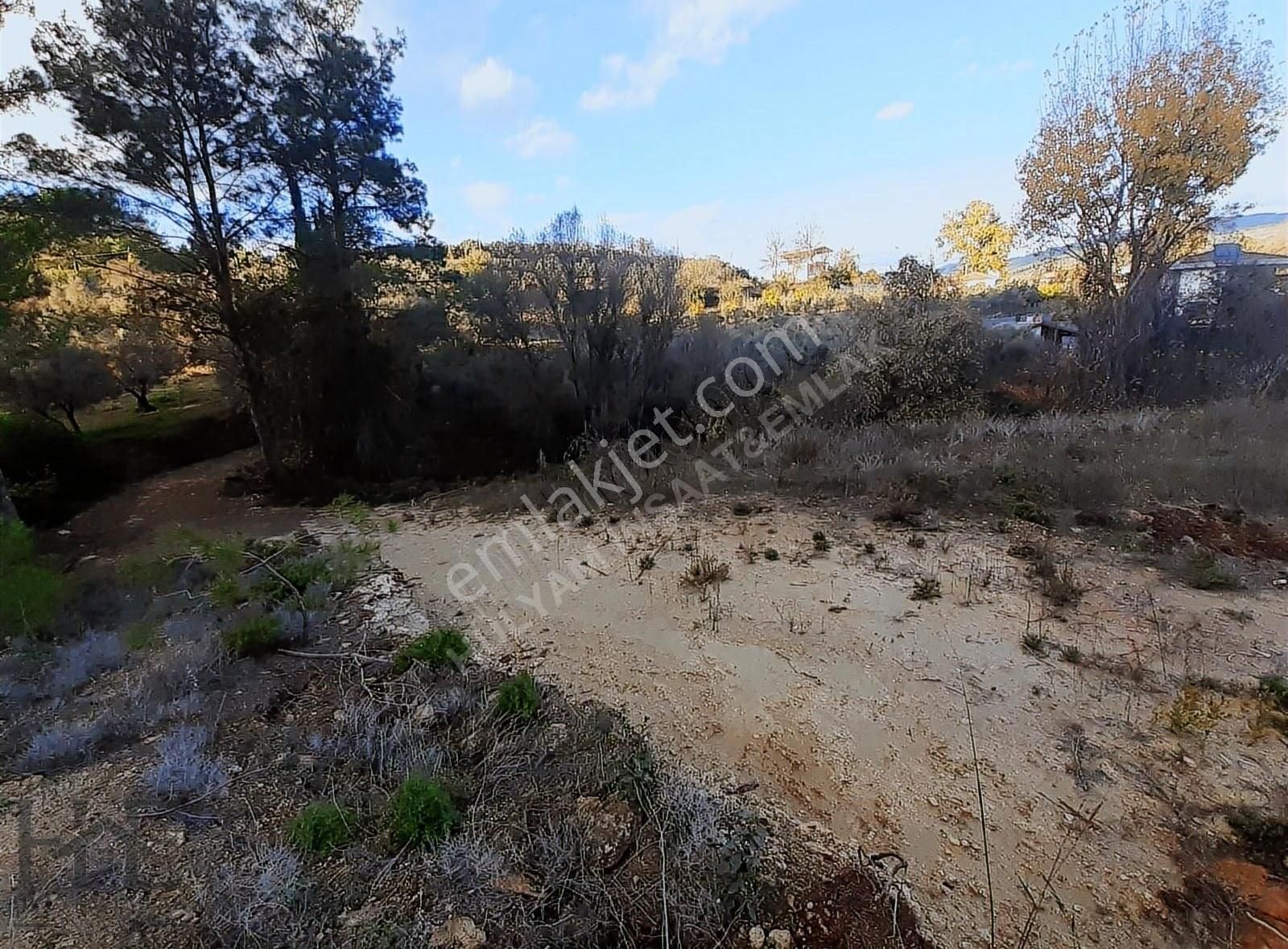 Seydikemer Seydiler'de 2.045 M2 Satılık Arazi - Görsel 9