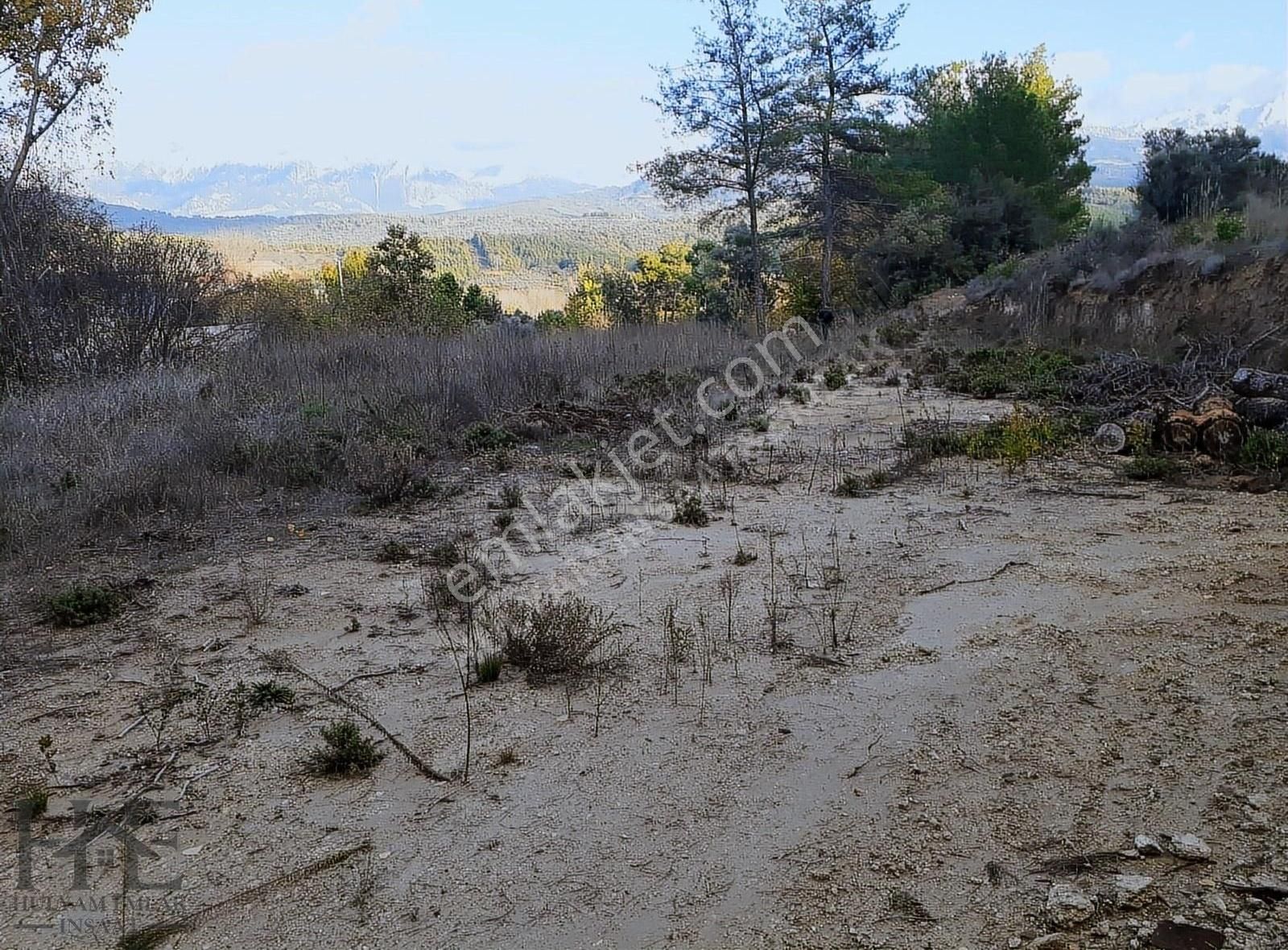 Seydikemer Seydiler'de 2.045 M2 Satılık Arazi - Görsel 8