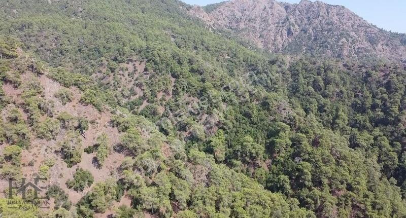 Fethiye Göcek Gökçeovacık`da Yatırımlık 3216m2 Fırsat Arazi - Görsel 20
