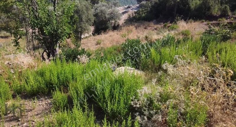 Fethiye Göcek Gökçeovacık`da Yatırımlık 3216m2 Fırsat Arazi - Görsel 4