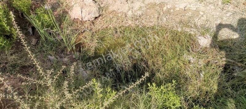 Fethiye Göcek Gökçeovacık`da Yatırımlık 3216m2 Fırsat Arazi - Görsel 13