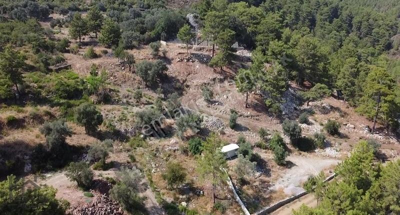 Fethiye Göcek Gökçeovacık`da Yatırımlık 3216m2 Fırsat Arazi - Görsel 17