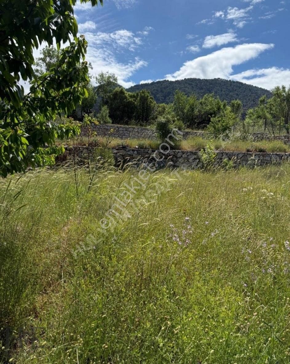 Nif Merkezde Satılık Arazi