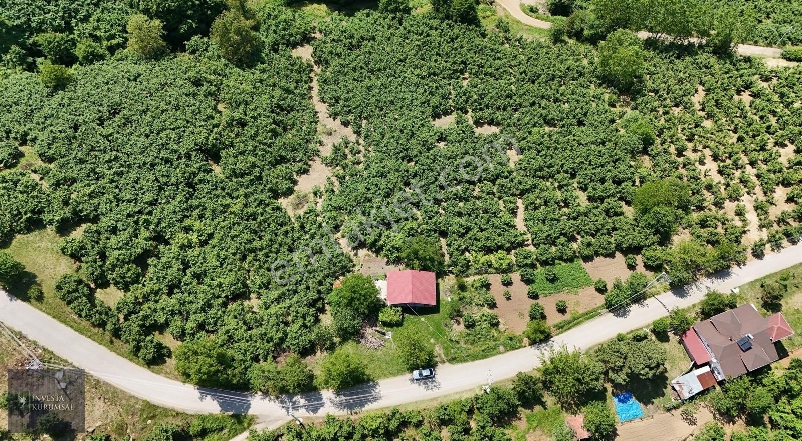 İnvesta'dan Sakarya Hendek'de Satılık İmarlı Arsa Ve Fındıklık