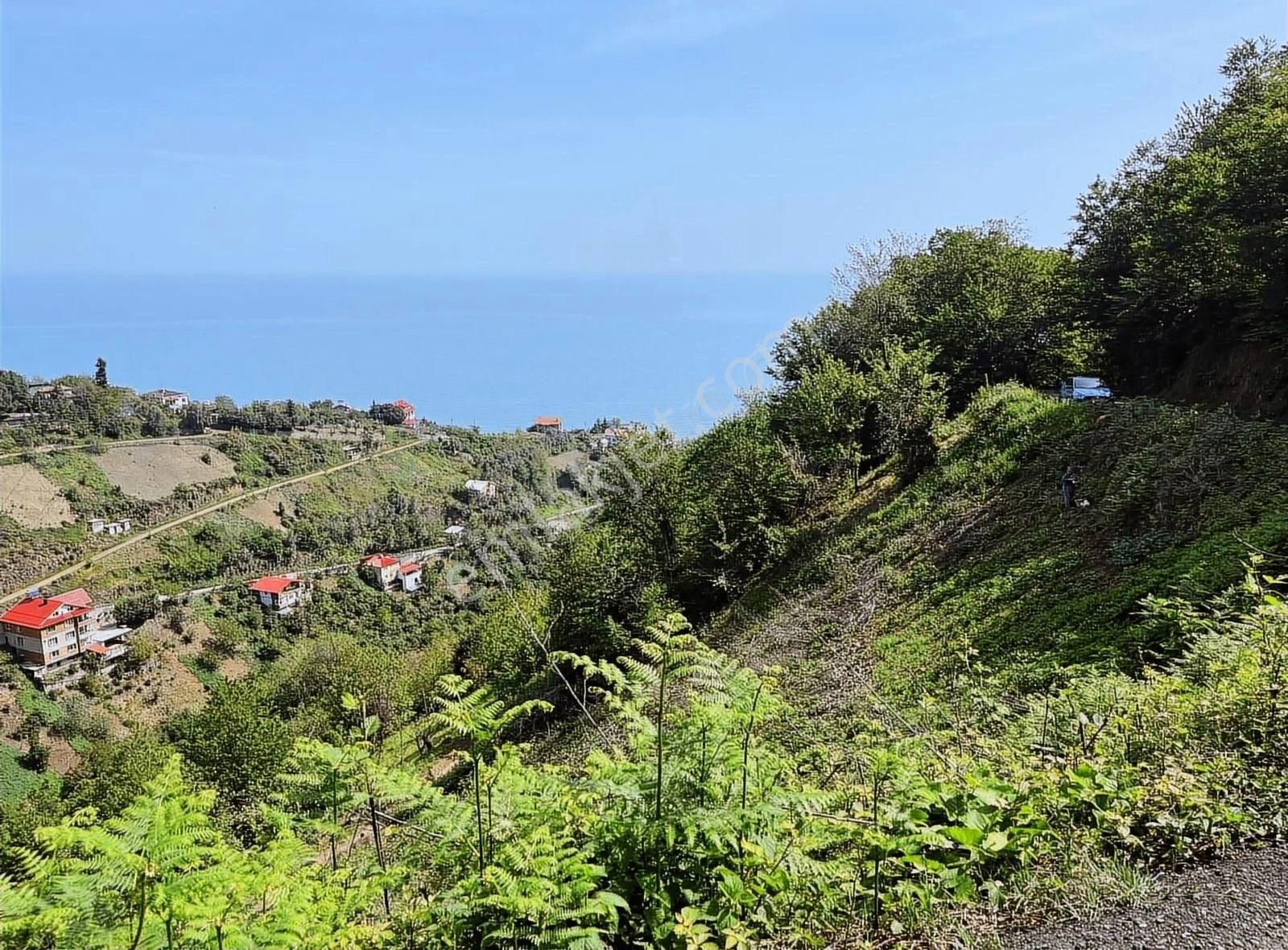 Poyraz Gayrimenkul Trabzon Akçaabat Akçakale Satılık Arsa