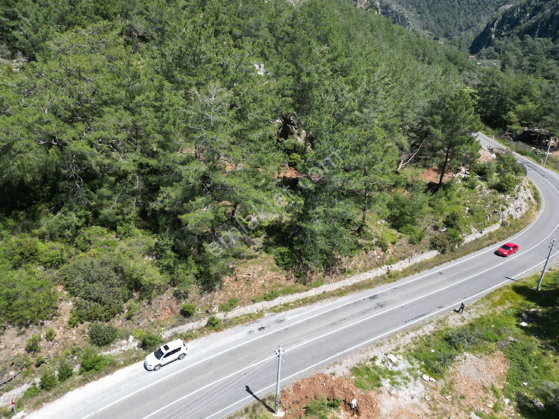 Joker: Marmaris Turgut Tiny House Uygun Yol Cepheli Satılık Tarla - Görsel 7