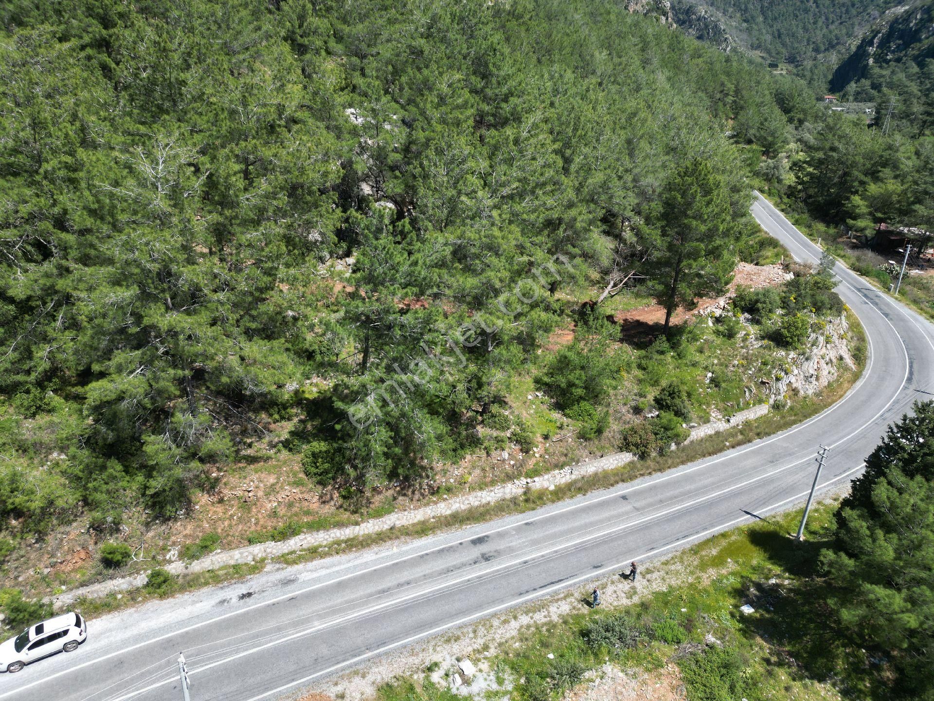 Joker: Marmaris Turgut Tiny House Uygun Yol Cepheli Satılık Tarla - Görsel 4