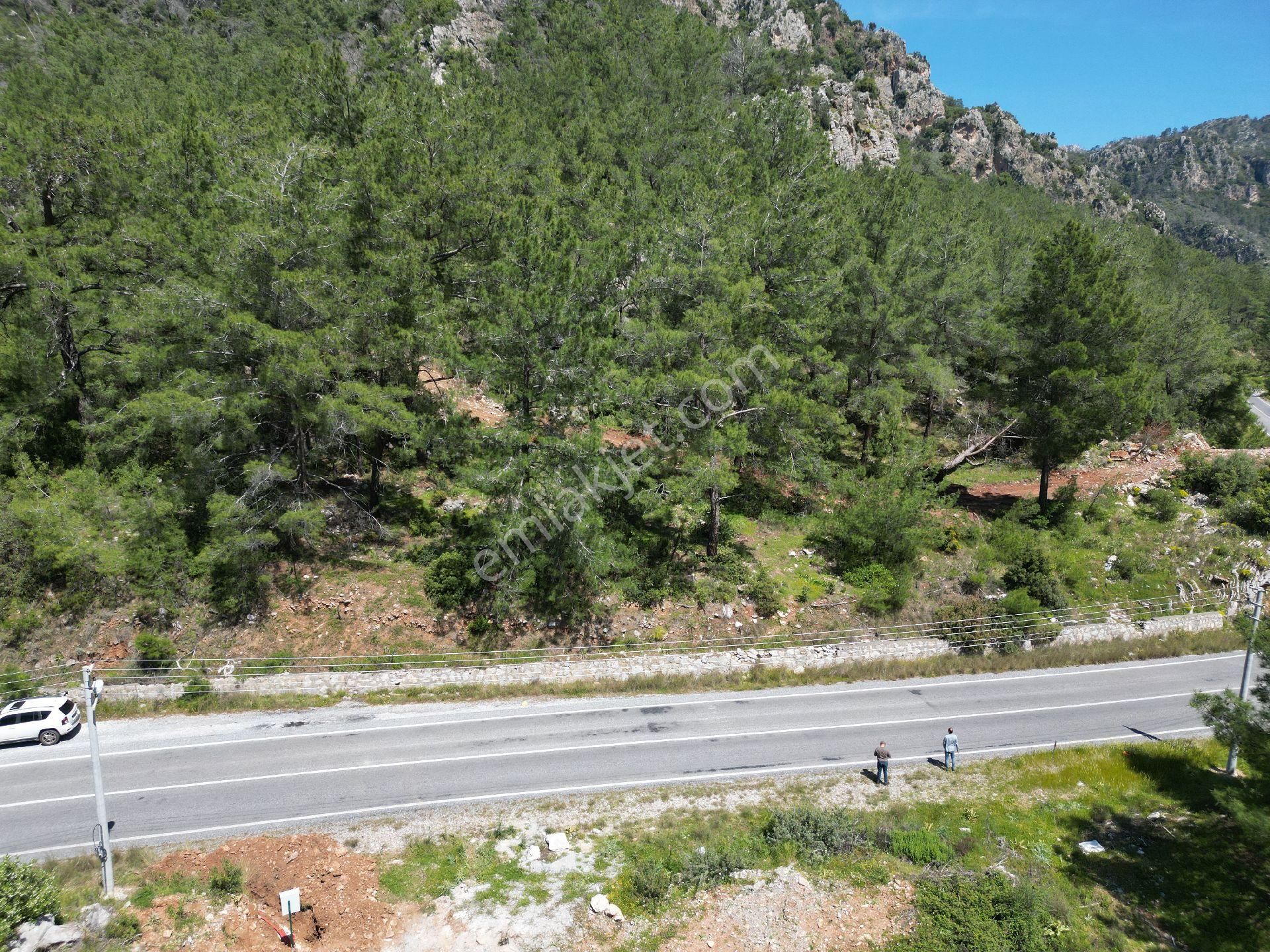 Joker: Marmaris Turgut Tiny House Uygun Yol Cepheli Satılık Tarla - Görsel 5