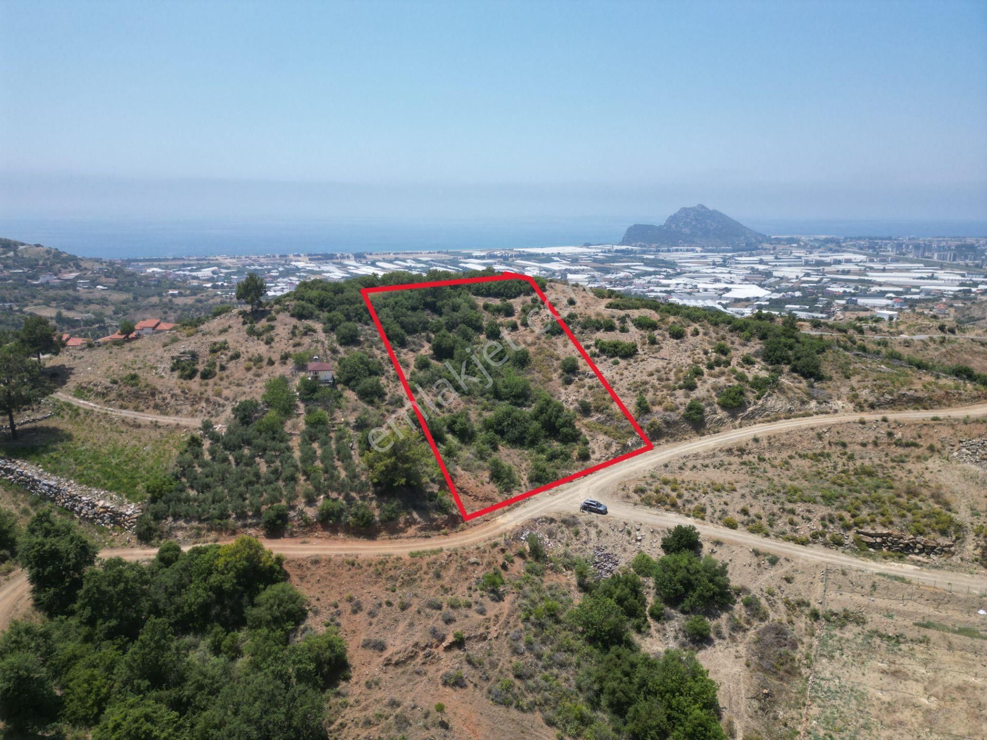 Gazipaşa Bakılar Mahallesi’nde Yatırımlık Satılık 2100 M2 Villa Arsa Fırsatı!