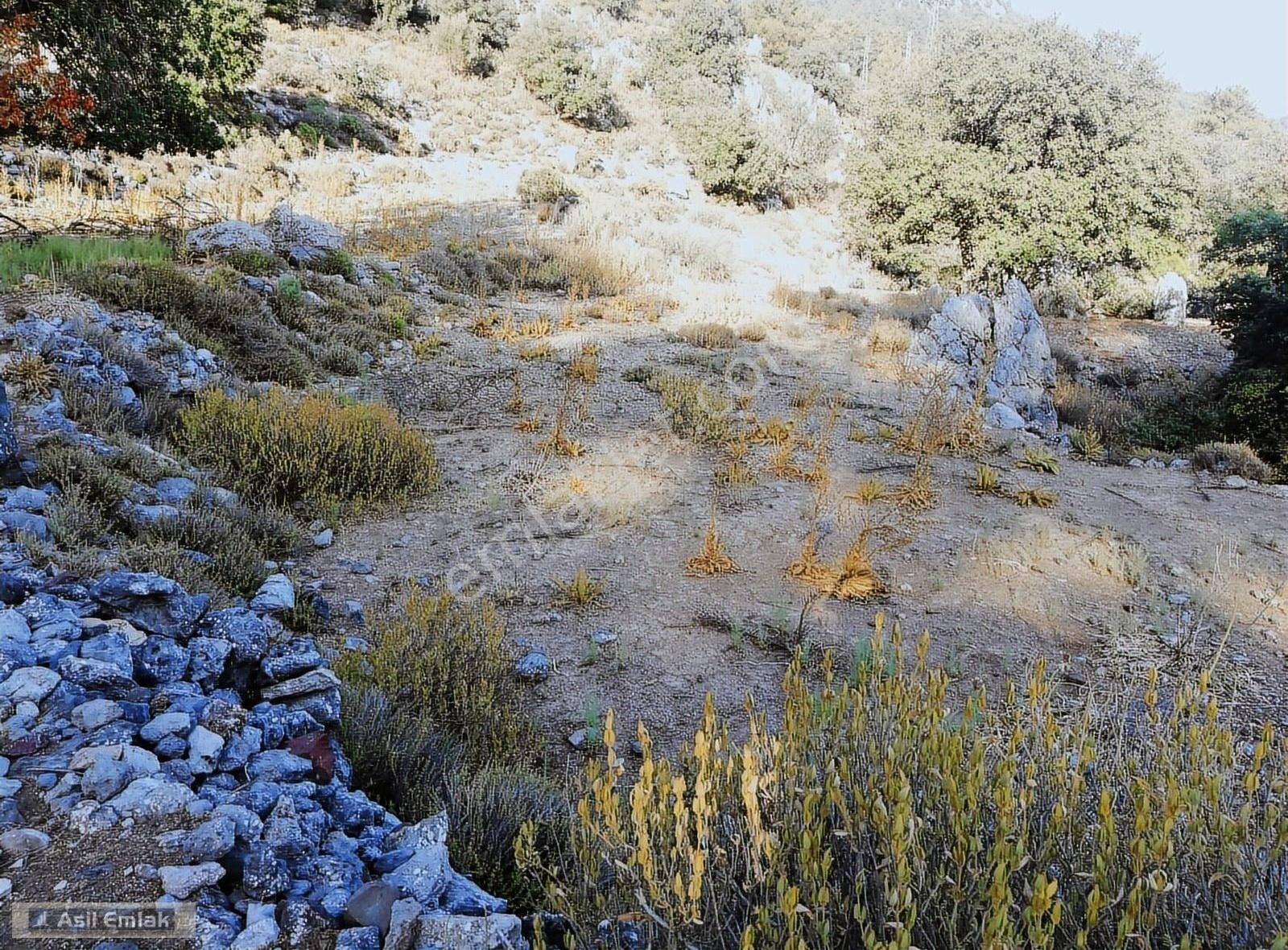 Ortaca Dalyan Gökbel Mahlsi Kışla Mevkiinde Satılık 5216m² Tarla - Görsel 12