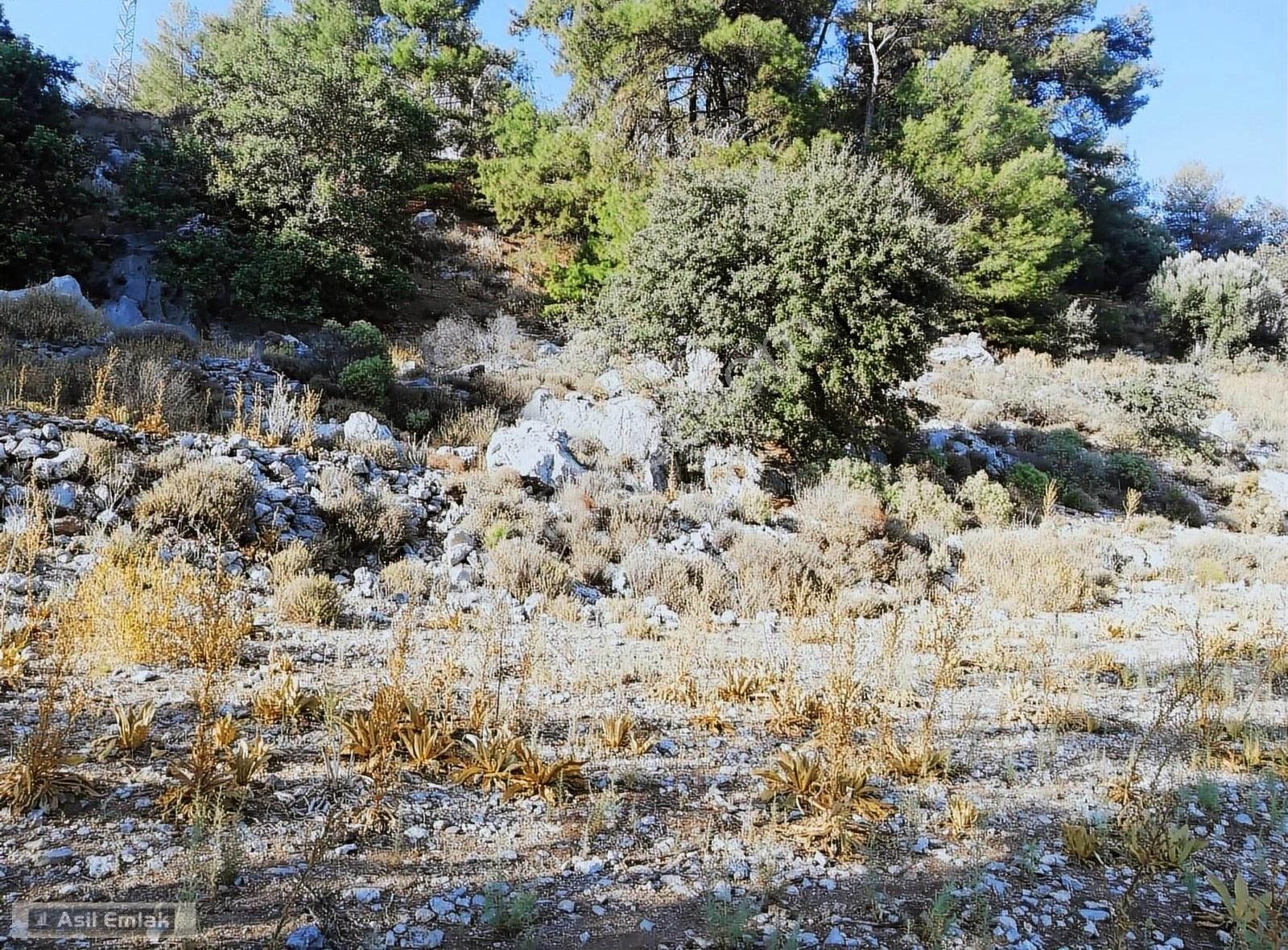 Ortaca Dalyan Gökbel Mahlsi Kışla Mevkiinde Satılık 5216m² Tarla - Görsel 18