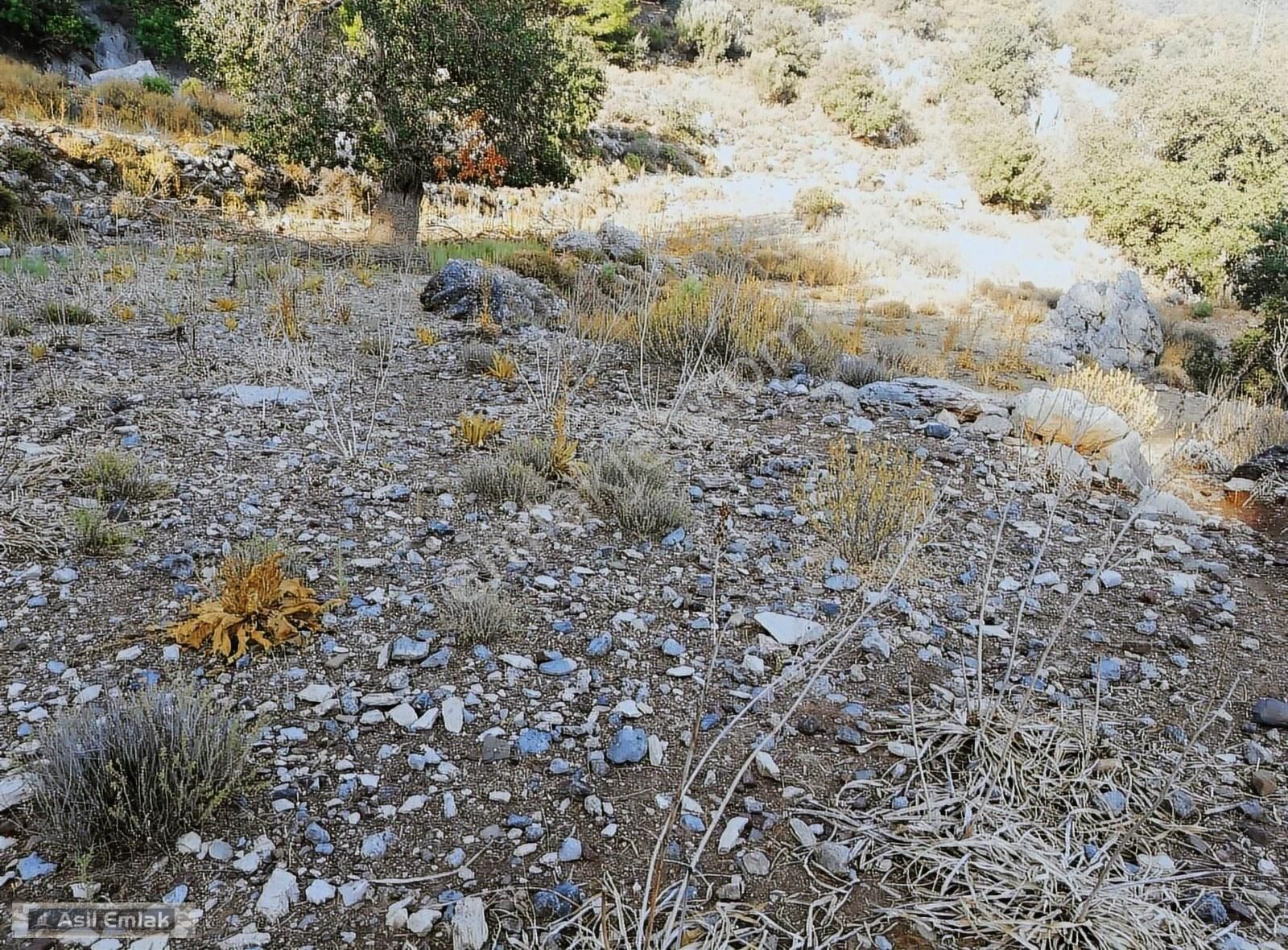 Ortaca Dalyan Gökbel Mahlsi Kışla Mevkiinde Satılık 5216m² Tarla - Görsel 2